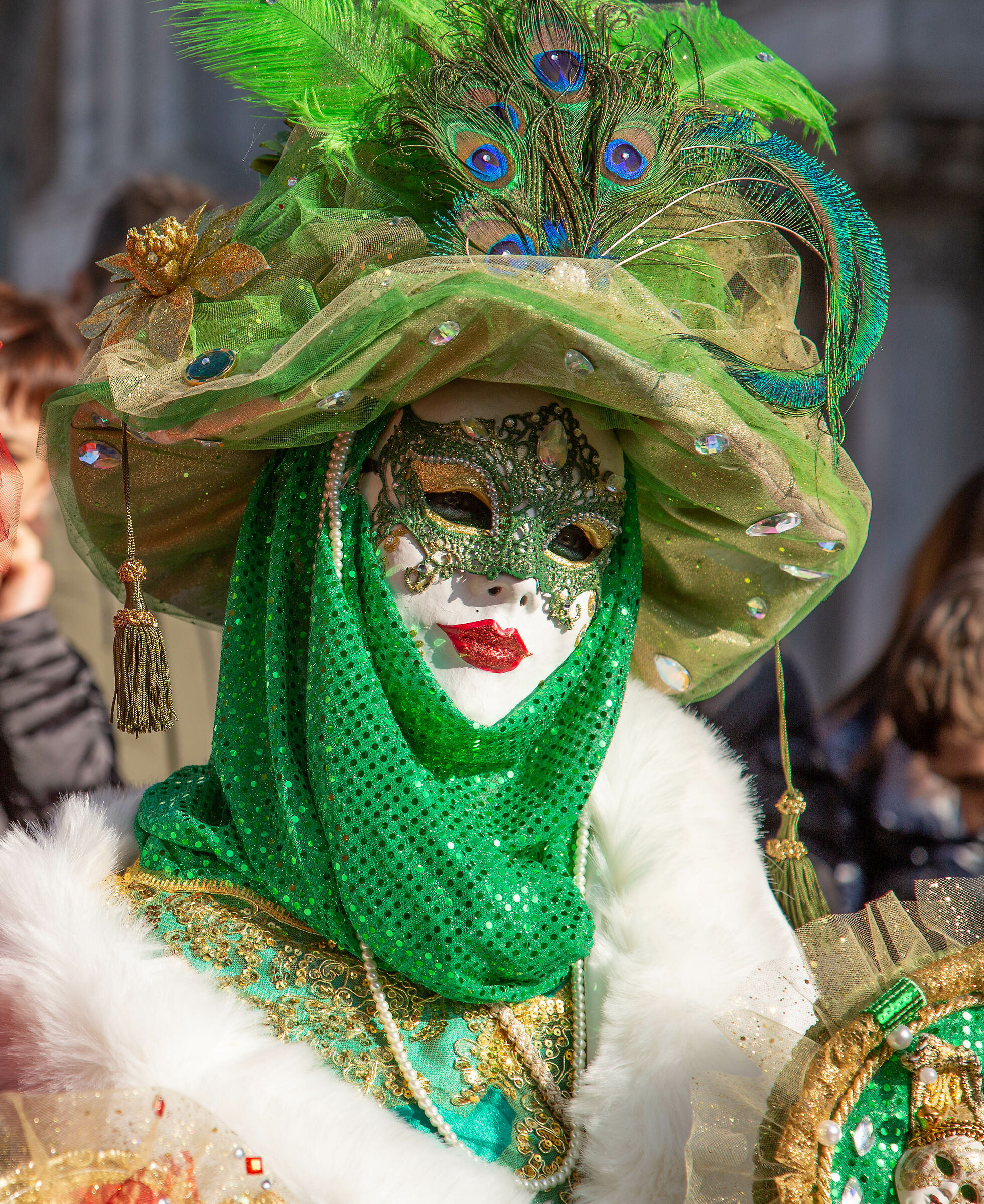 Venice Carnival Masks...