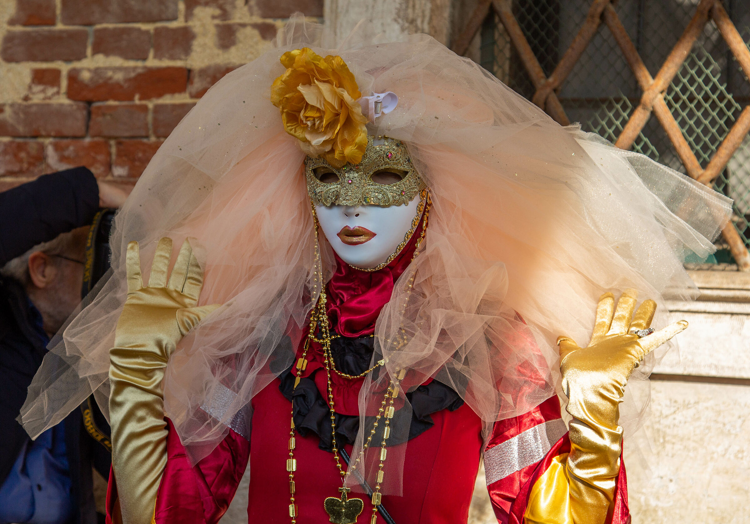 Venice Carnival Masks...