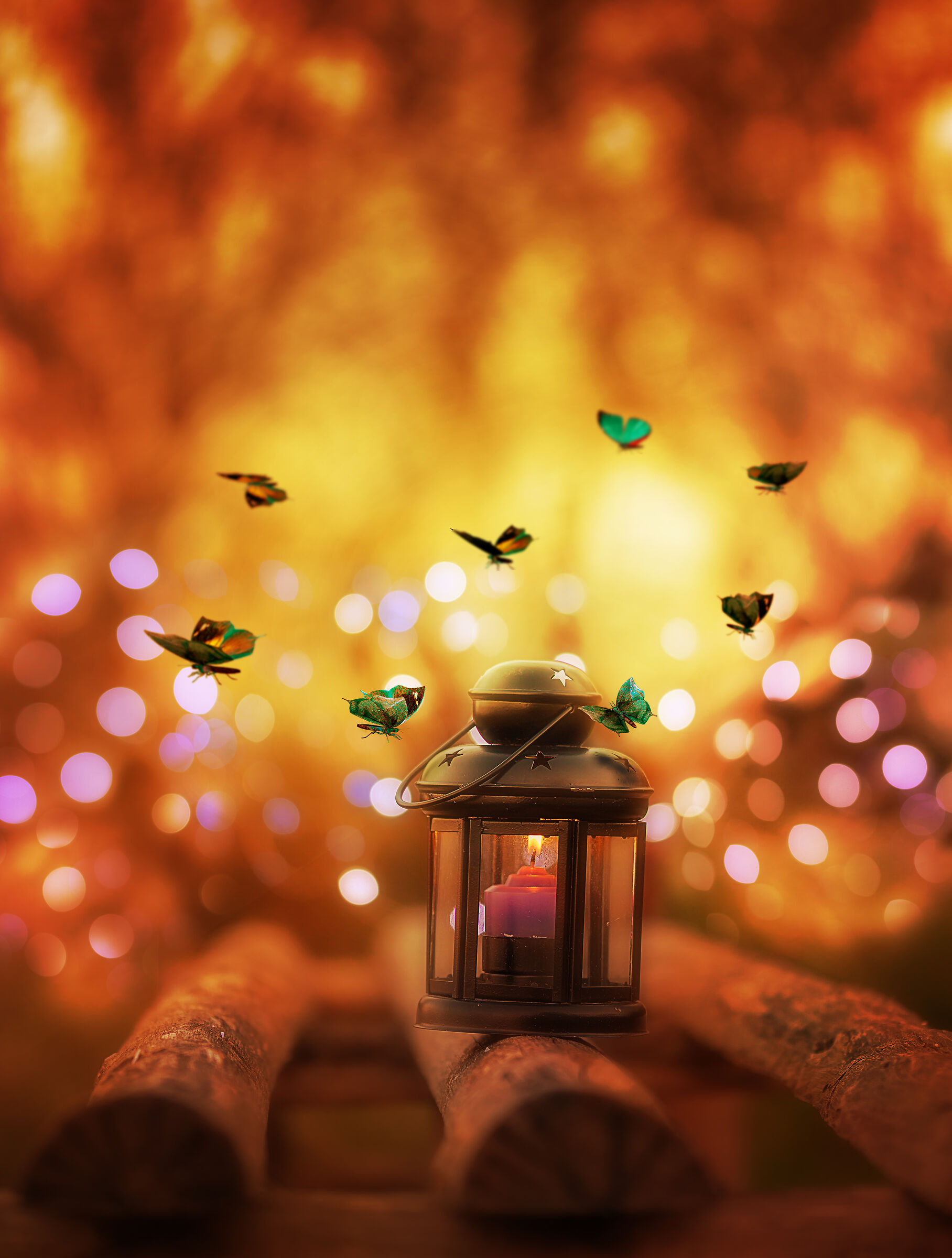 Butterflies and the lantern...