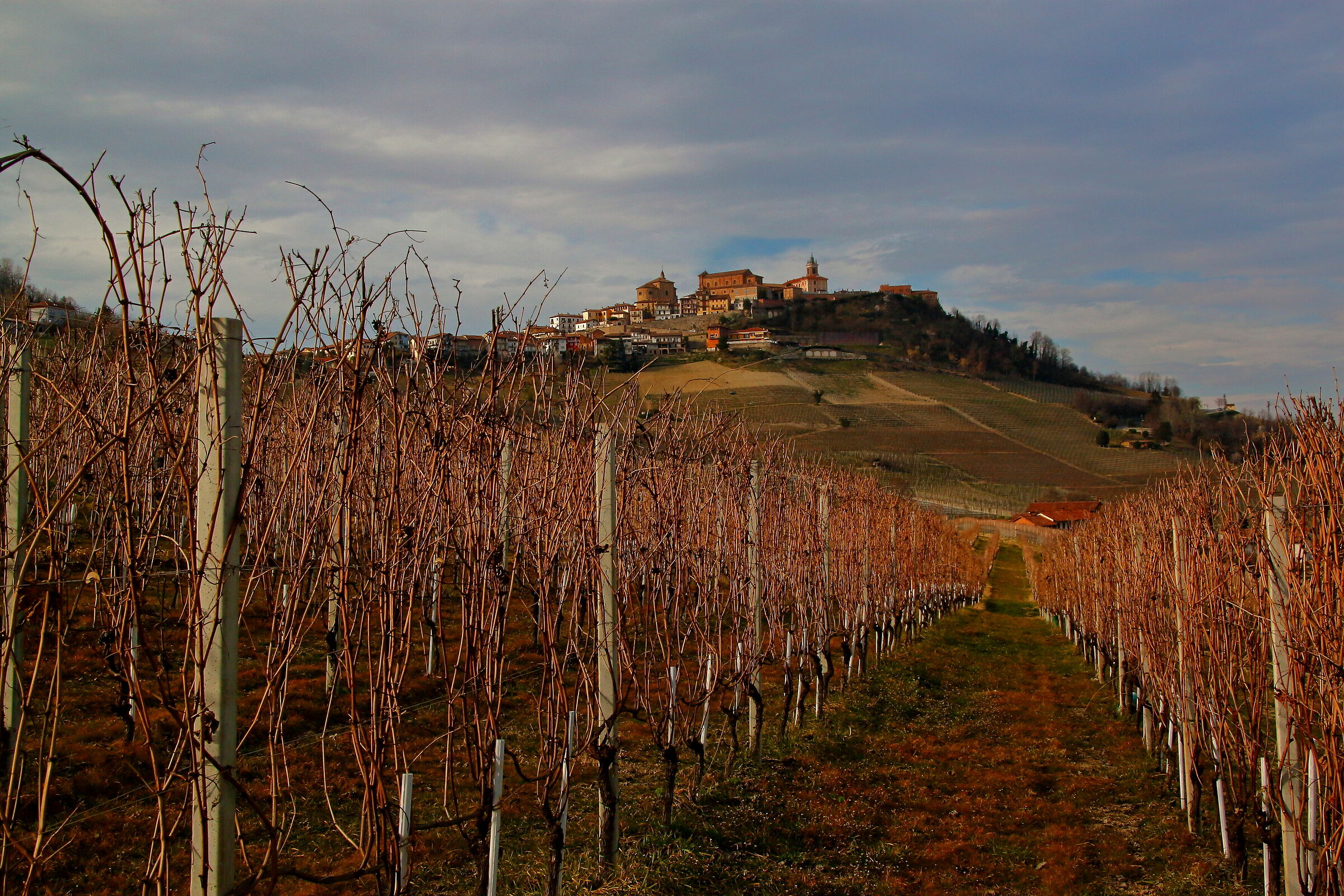 A glimpse of the Langhe...