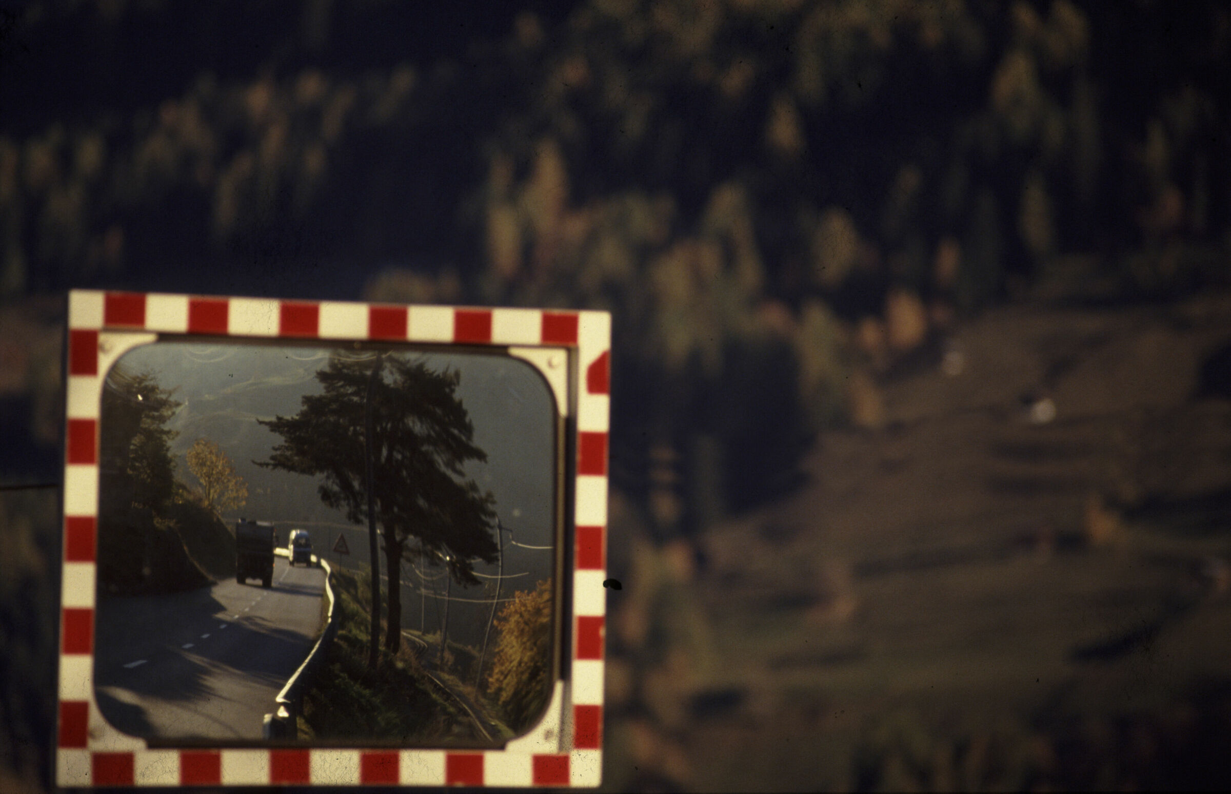 The Mirror on the road...