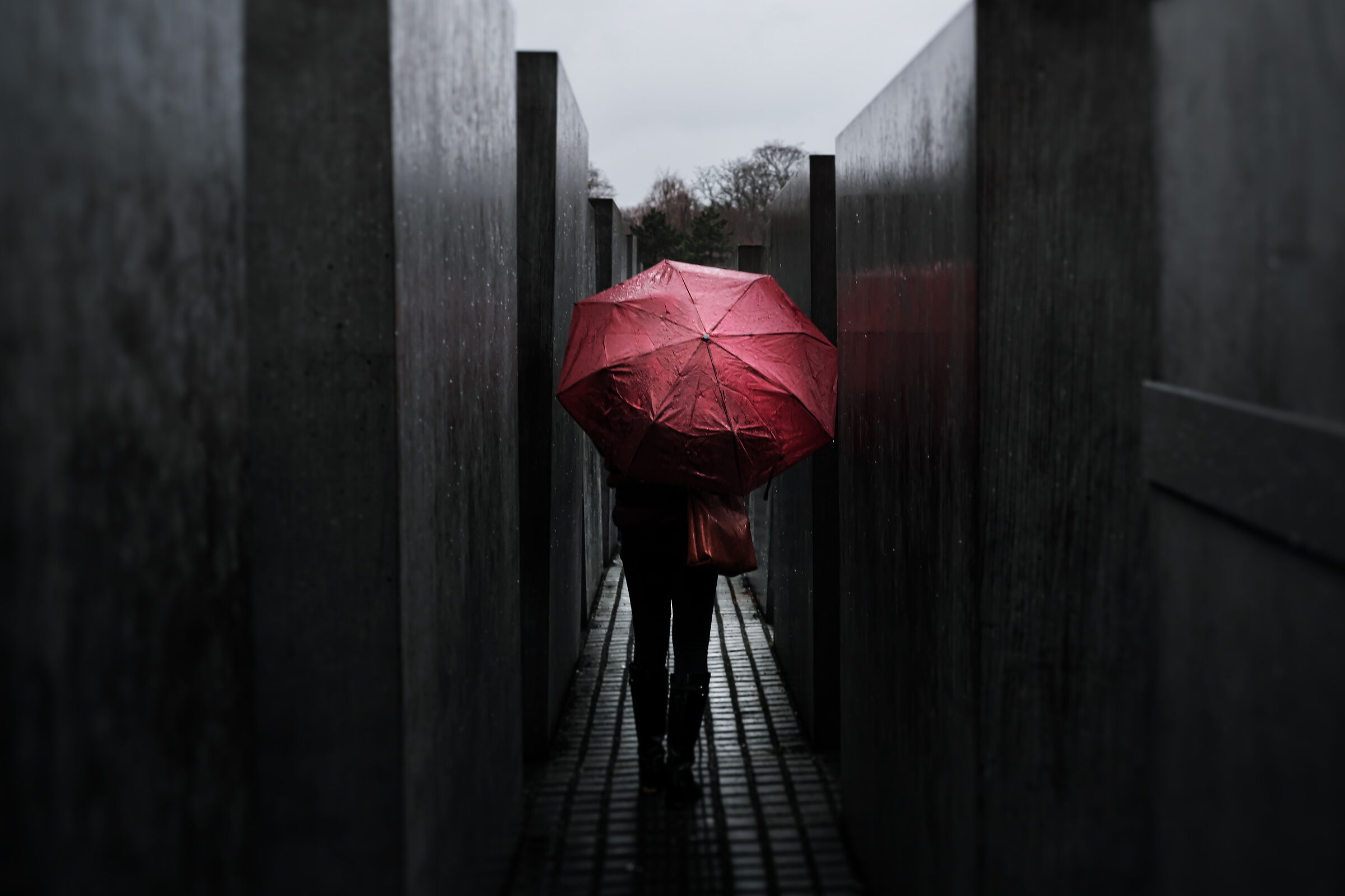 Red Rain on Holocaust...
