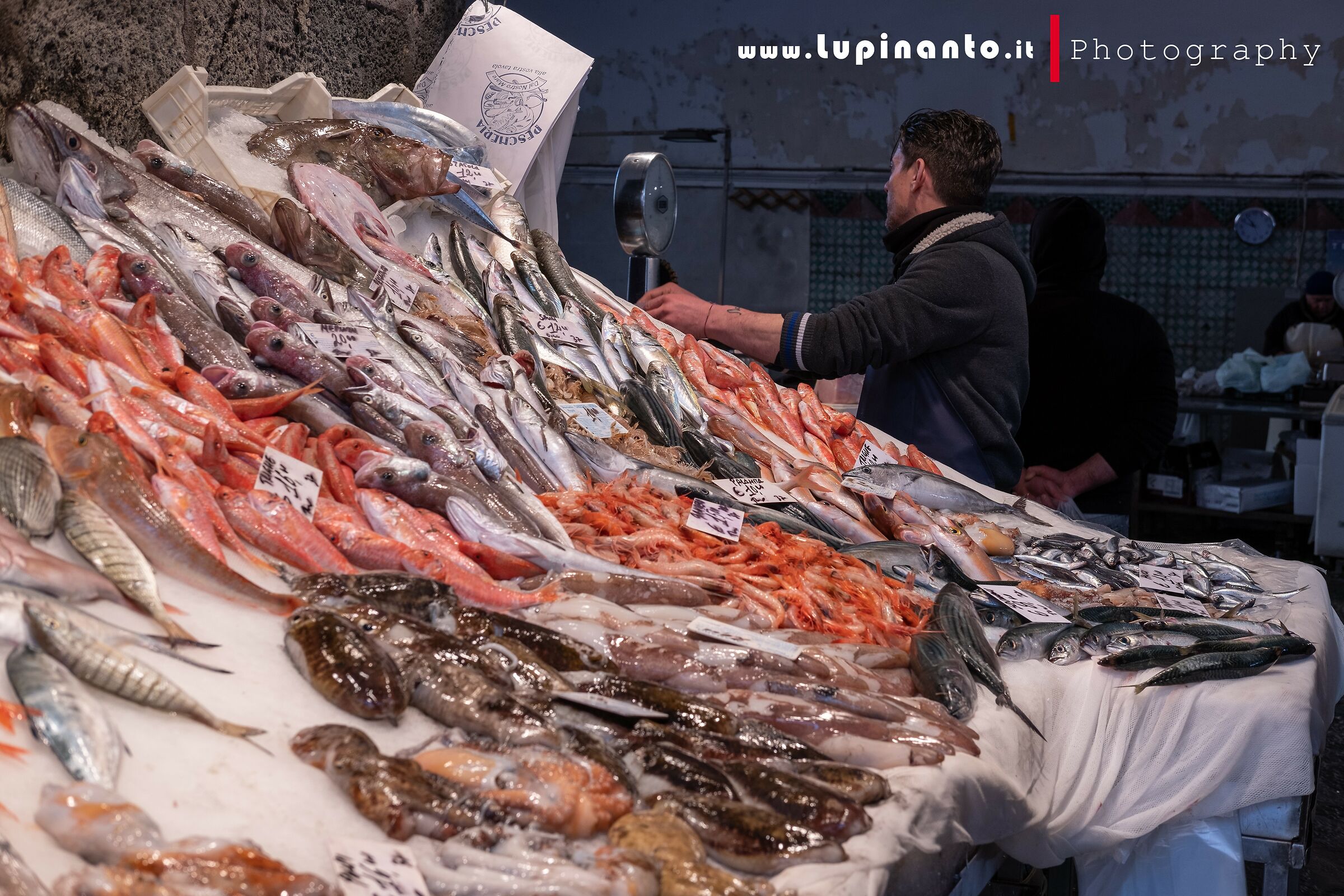 Fishmonger of Catania...