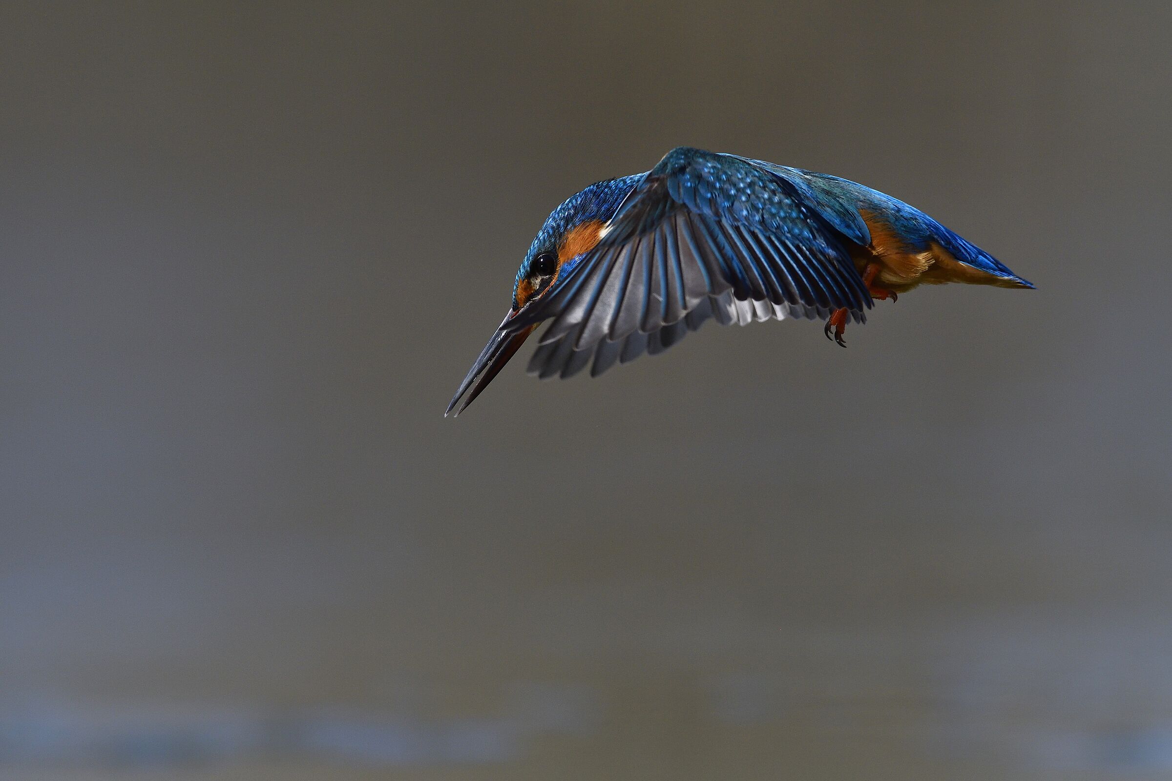 The Kingfisher Dip...