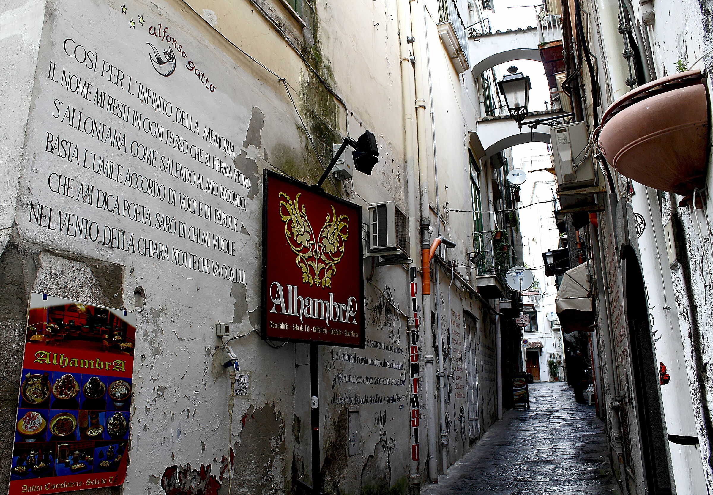 "Alfonso cat through the alleys..."...