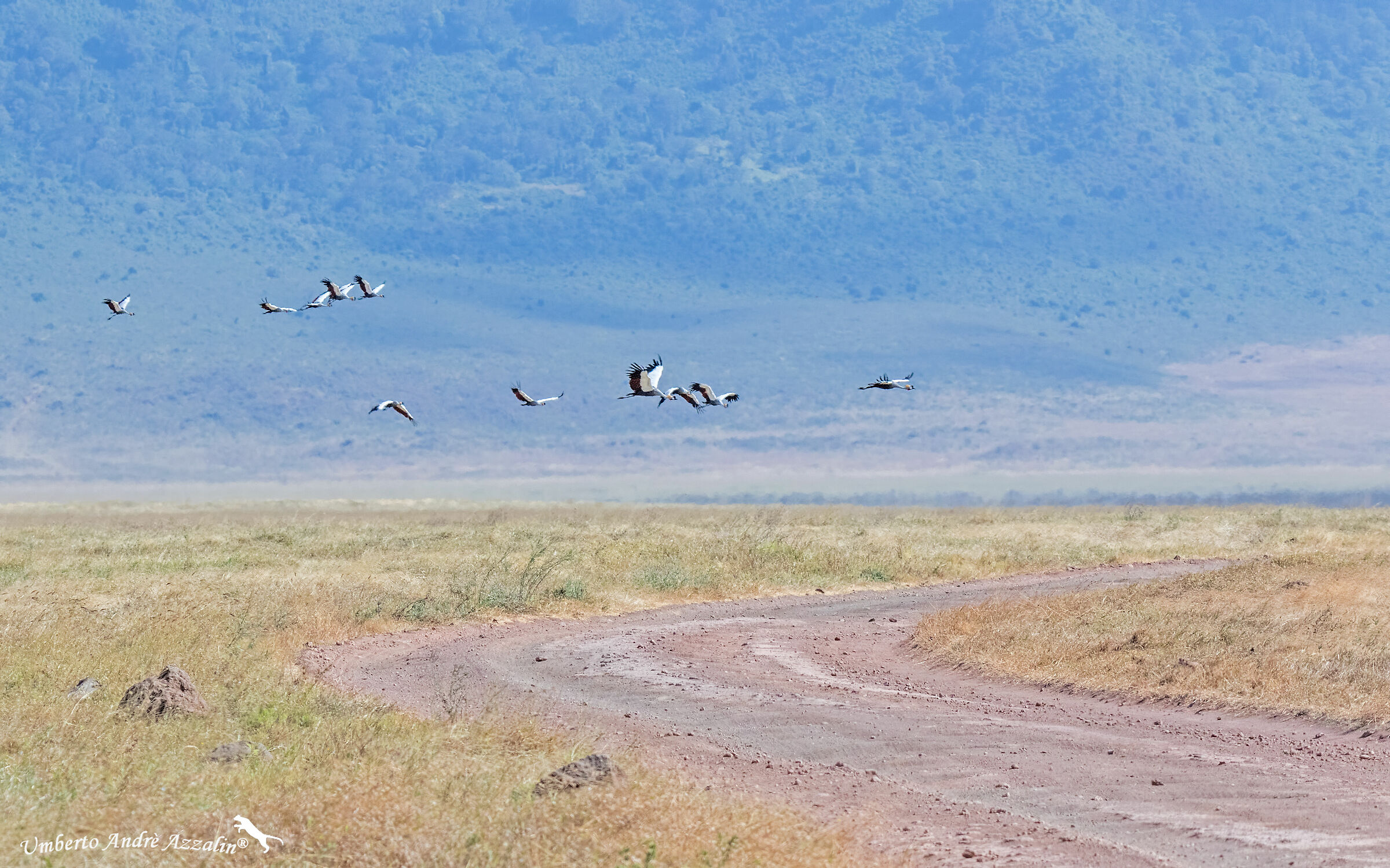 In Flight on Ngorongoro...