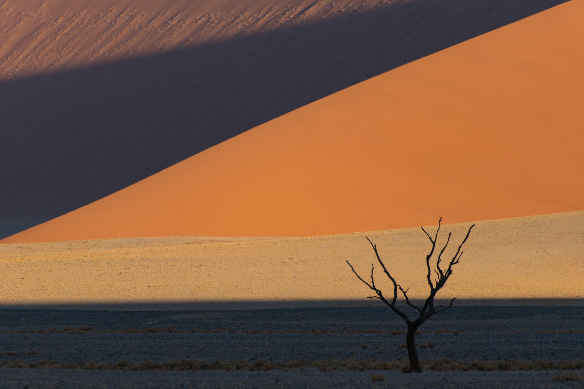 Deserto del Namib, Namibia...