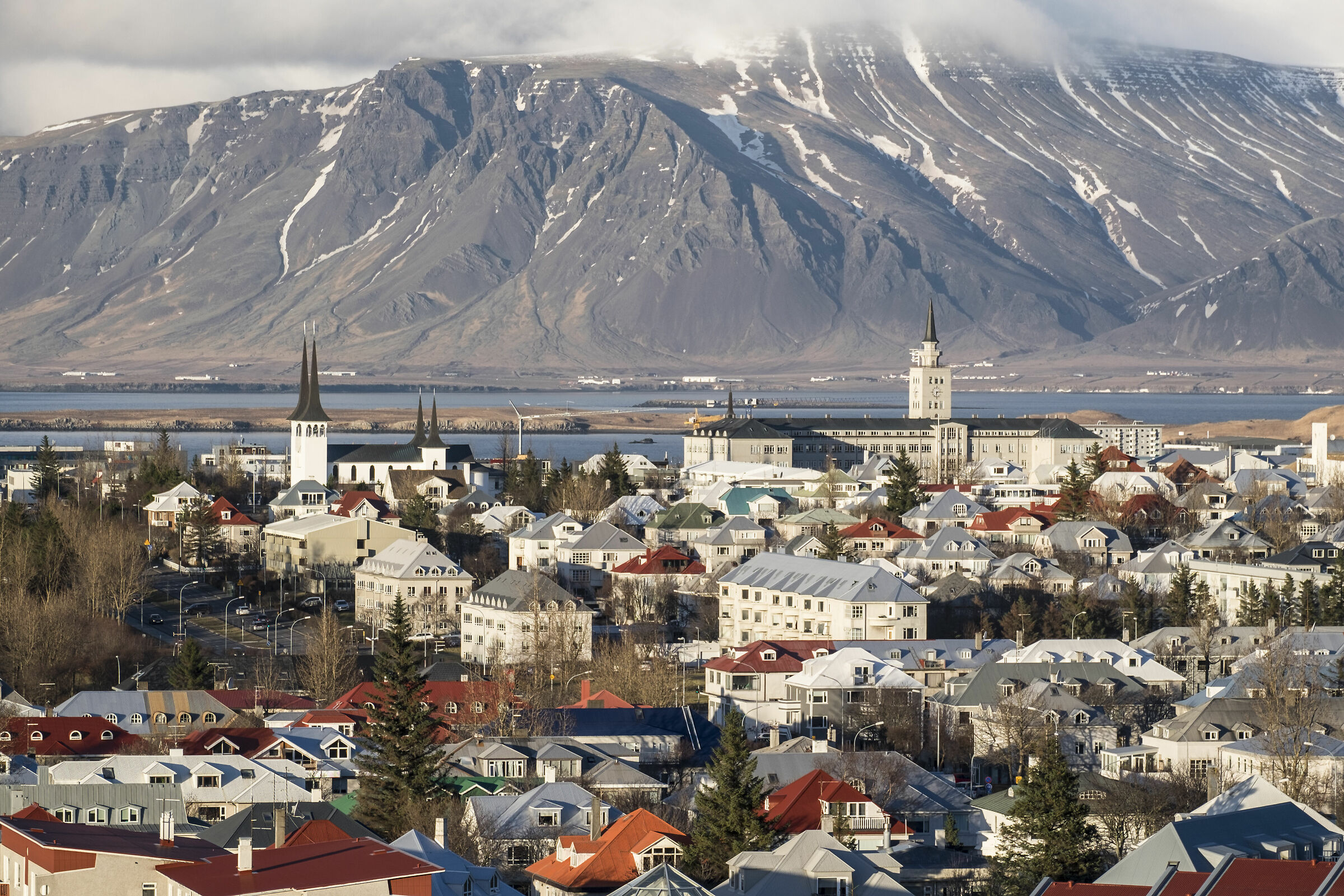 Reykjavik...