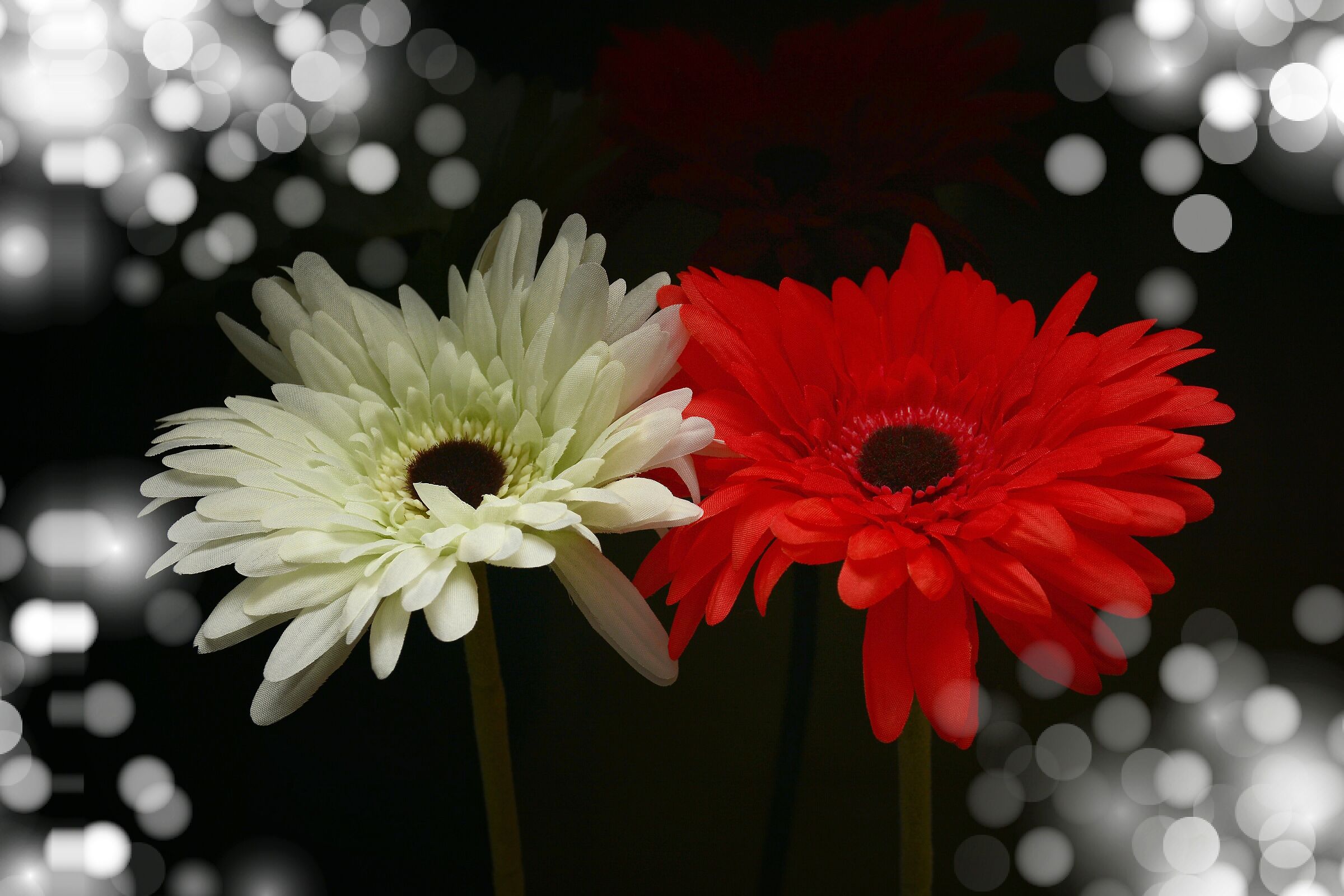 Two beautiful flowers... Fake...