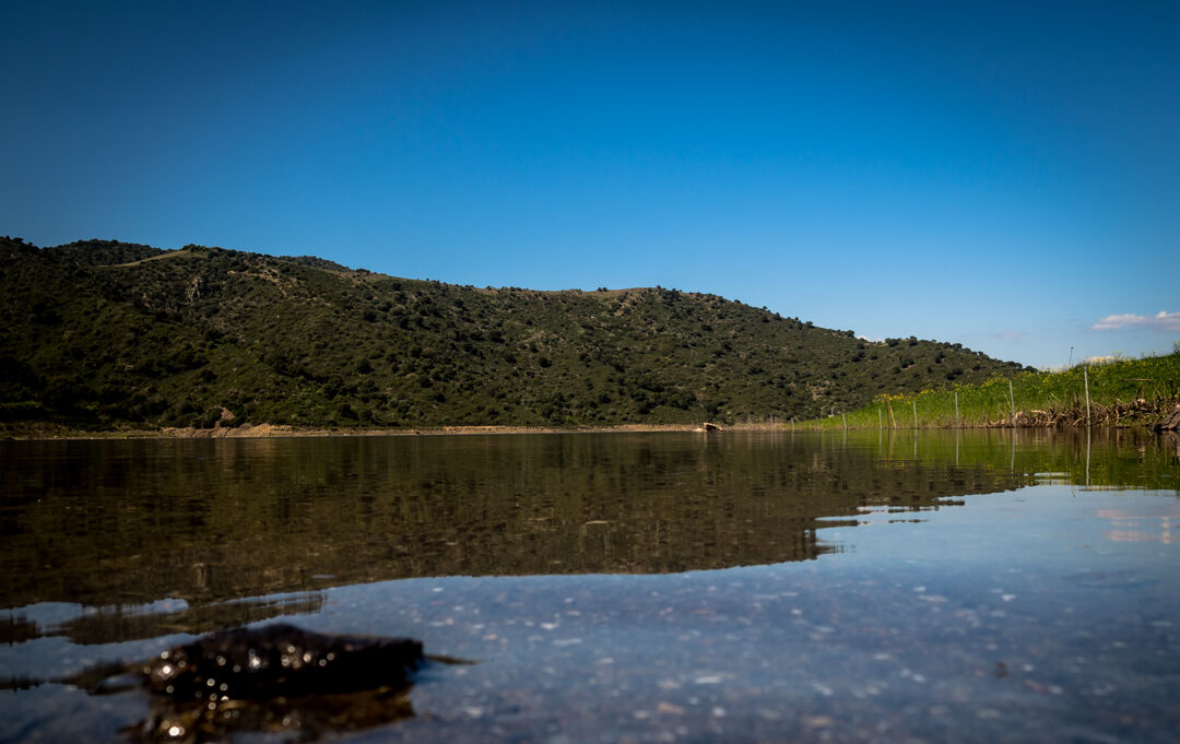 At the lake...