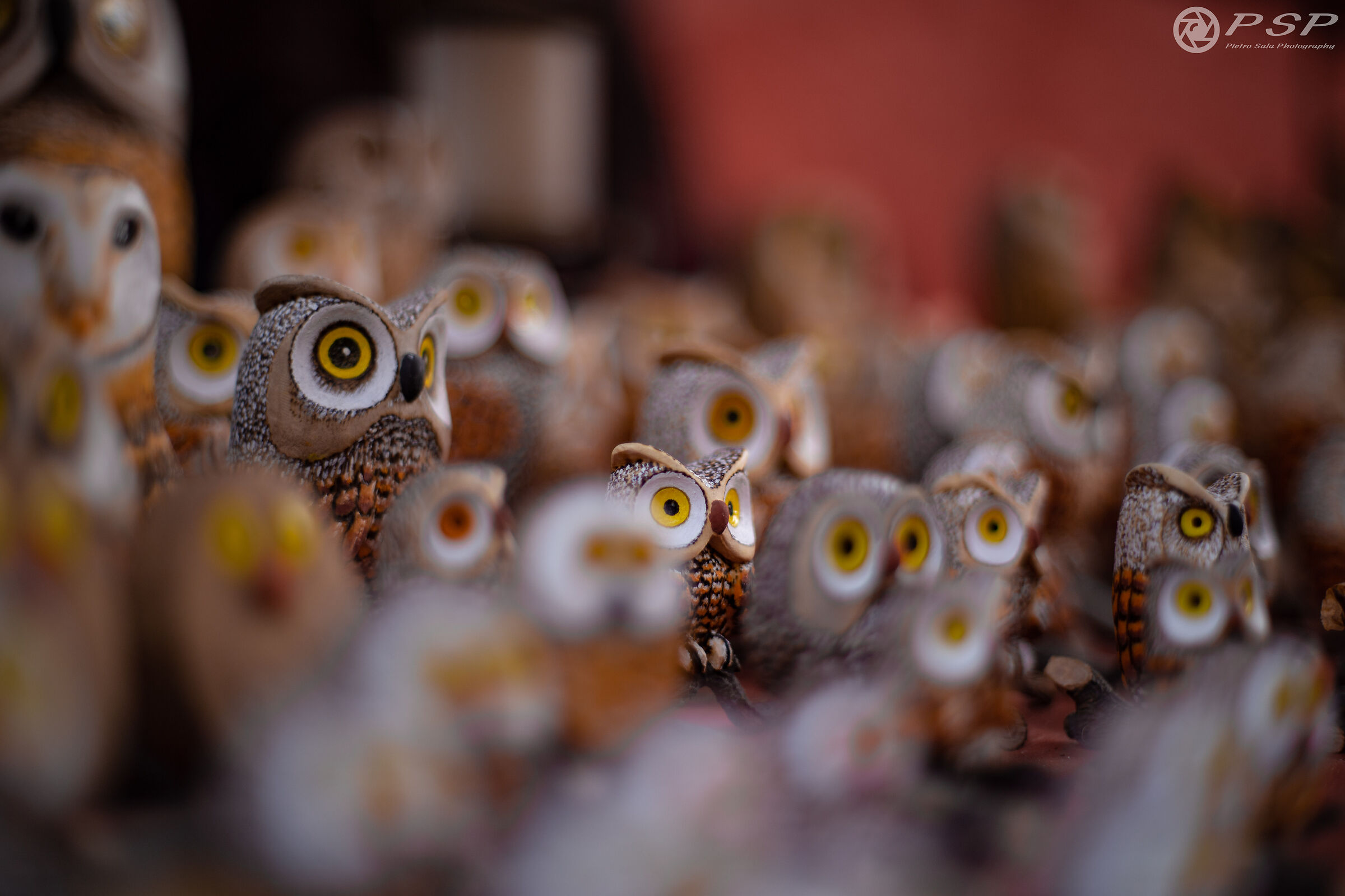 Small Owls Blur...