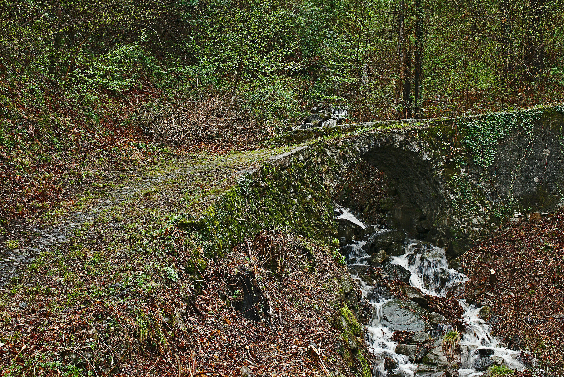 Bridge of the Mule track...