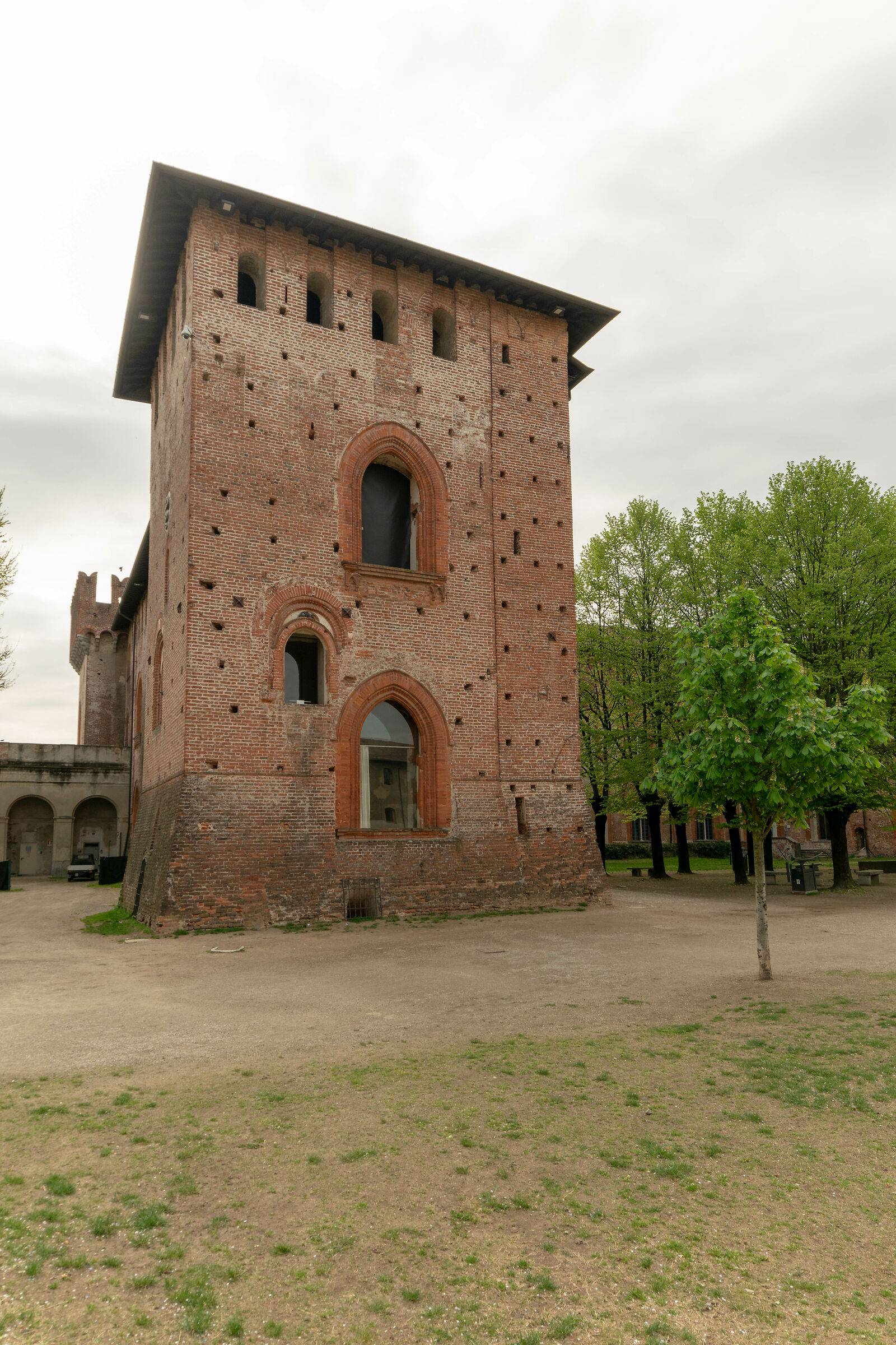 The Male. (Castle Sforzesco of Vigevano)...