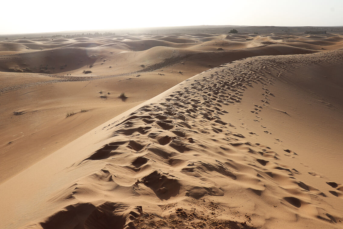 Merzouga Dunes South Morocco...