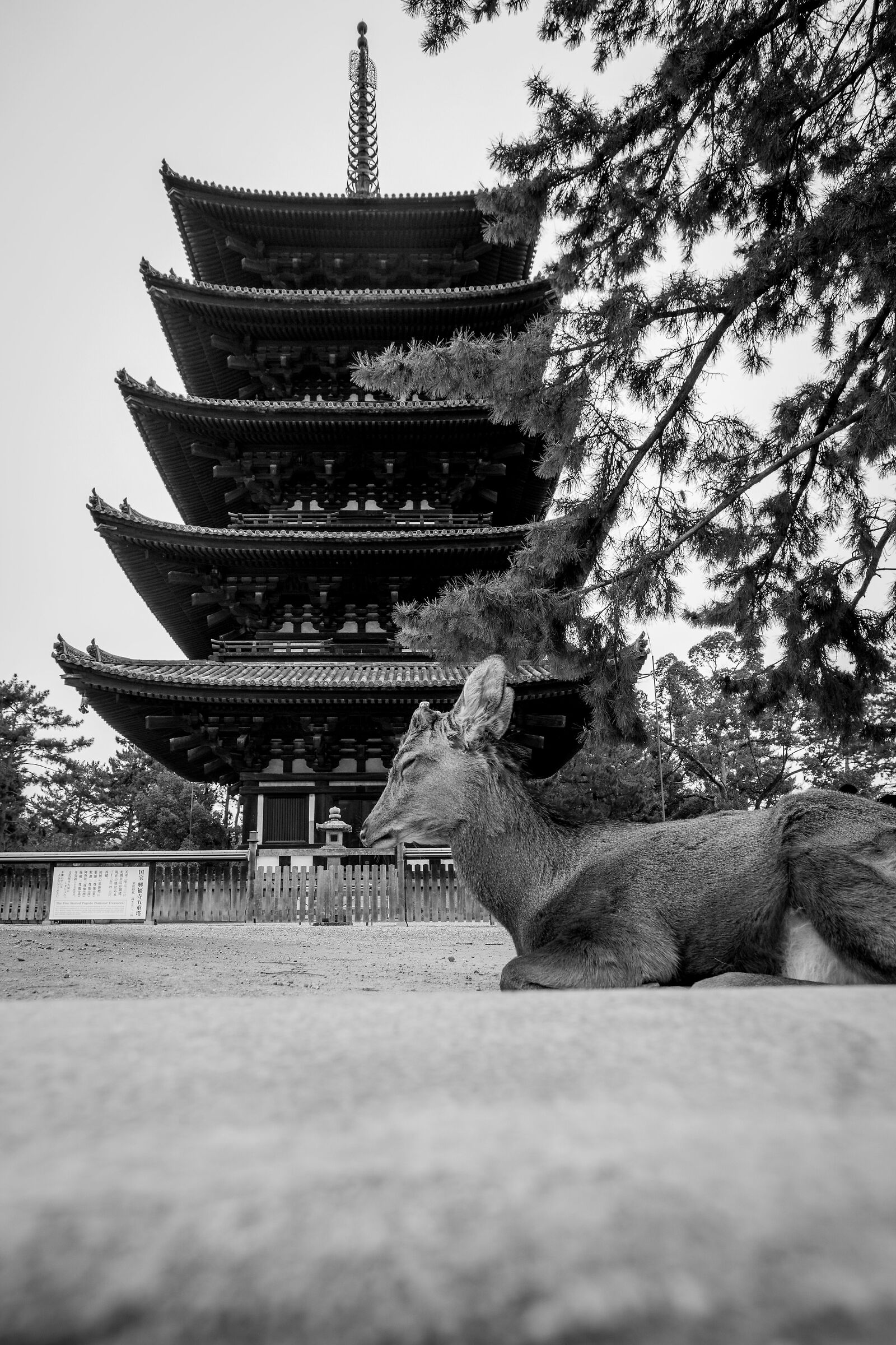 Nara...