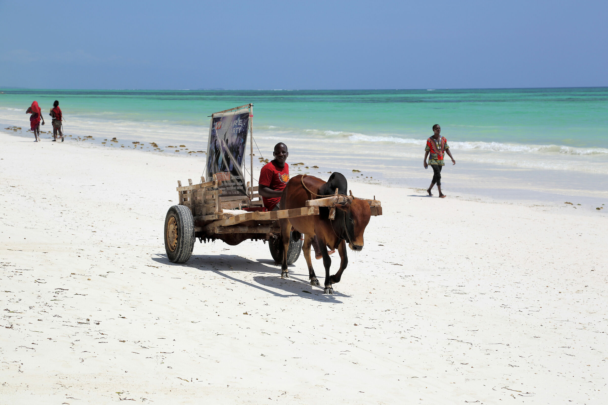 Vela itinerante Zanzibarina...