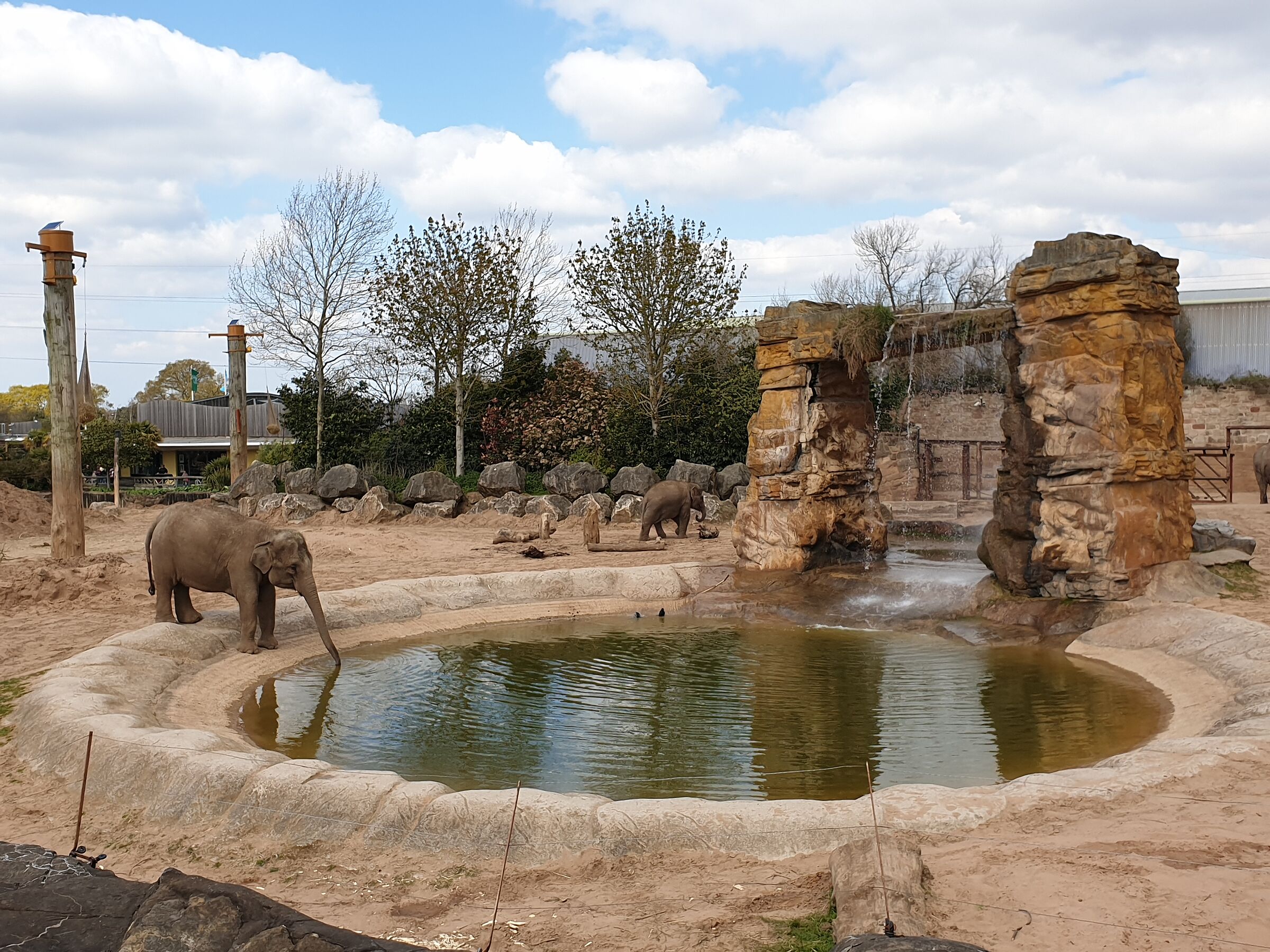 Chester zoo...