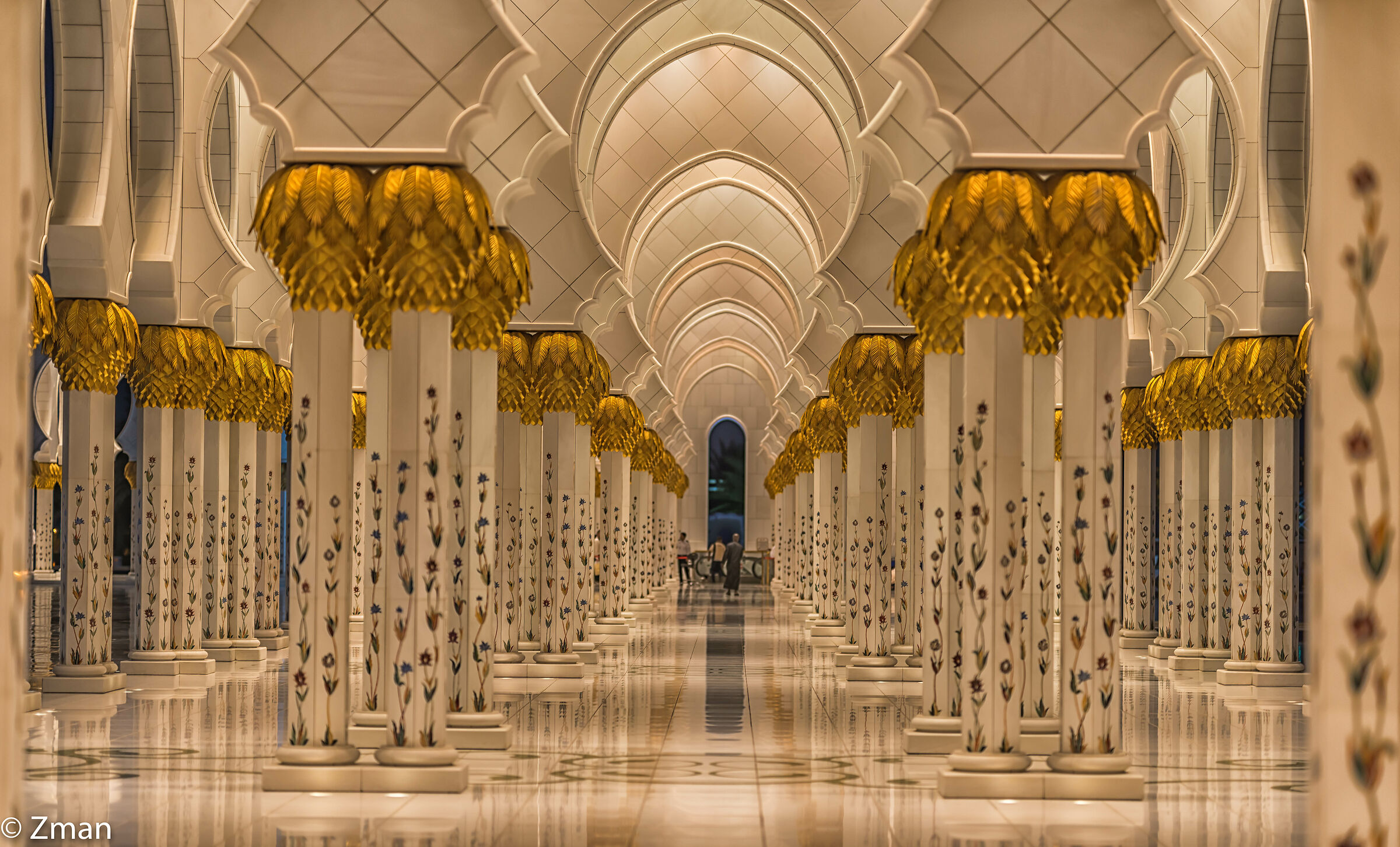 Grande Moschea di SHK. Zayed...
