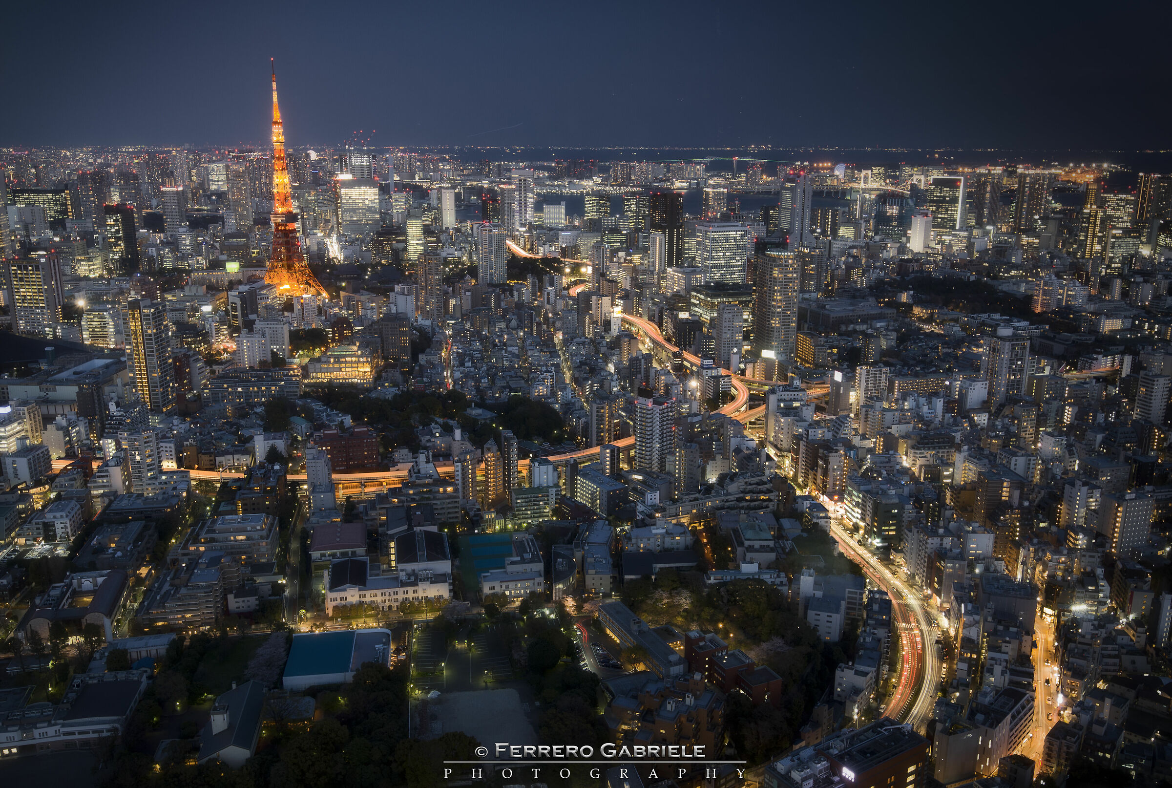 Tokyo by Night...