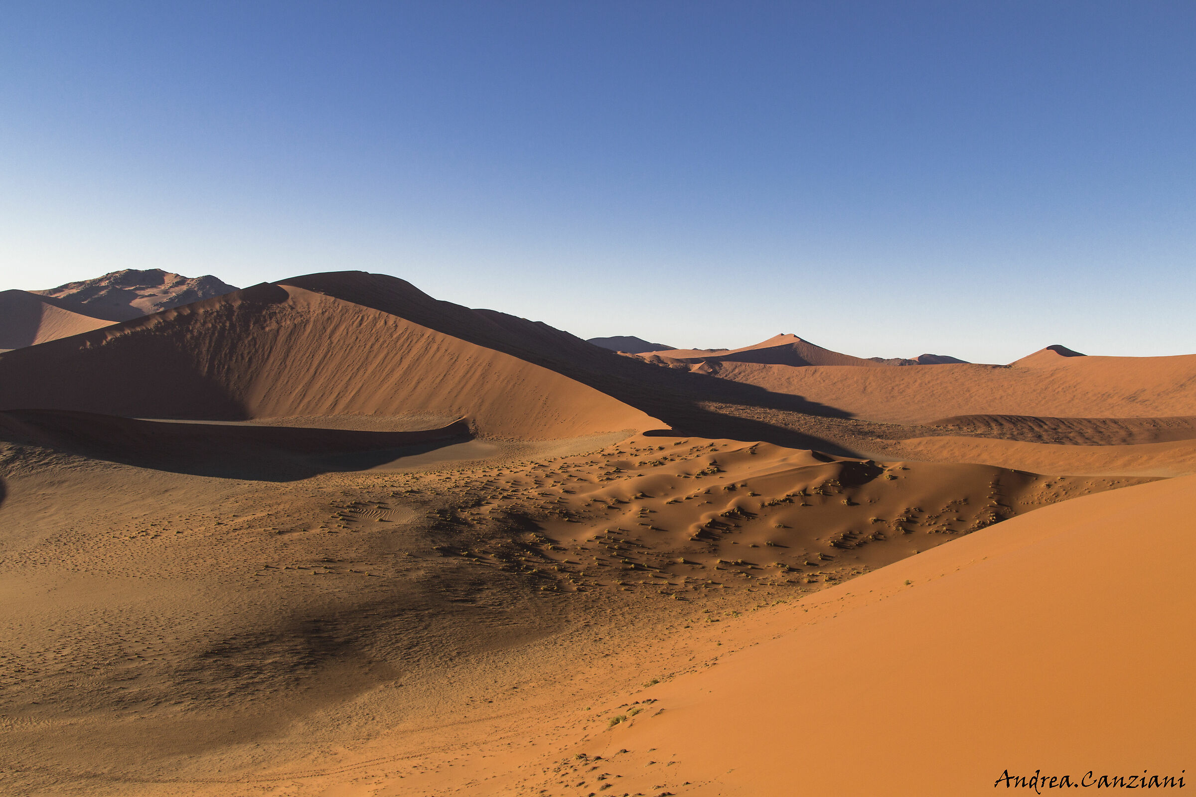 Vista Dune...