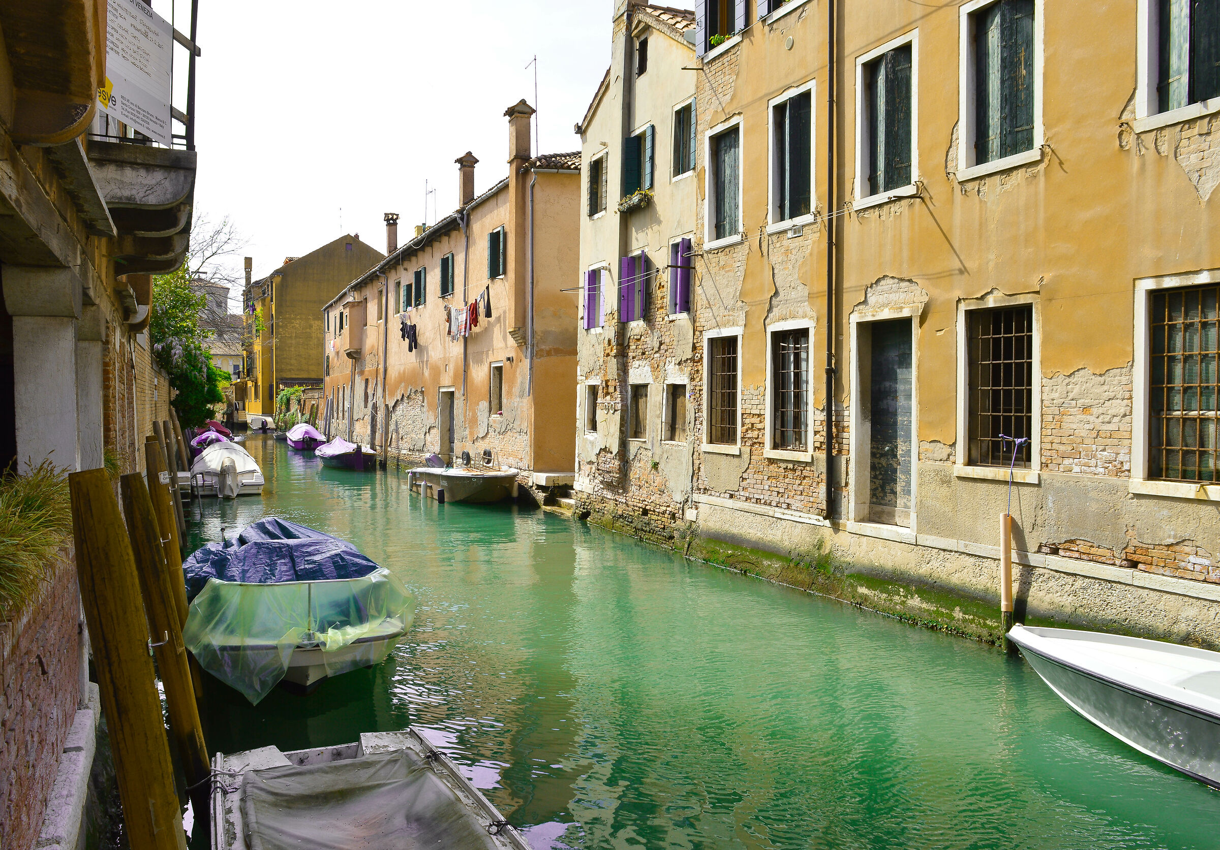 Canali di Venezia...