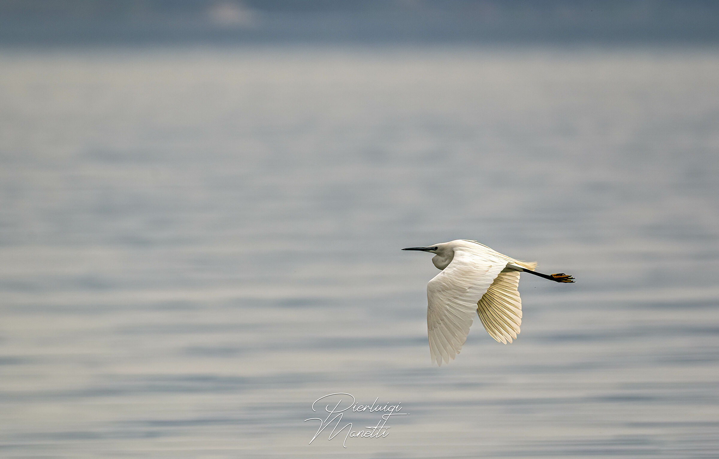 Eggonet in flight on Lake Bolsena...