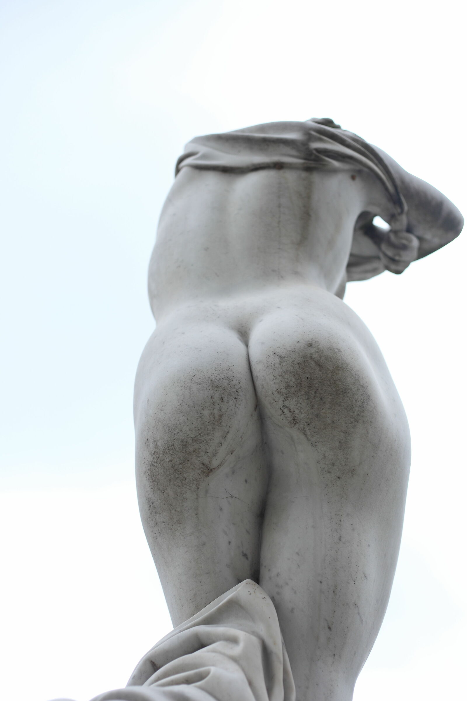 Venus in Carrara...