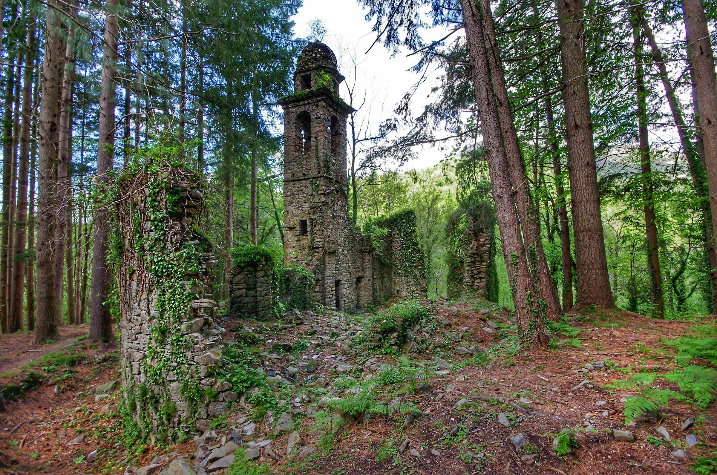 La chiesa nel bosco...