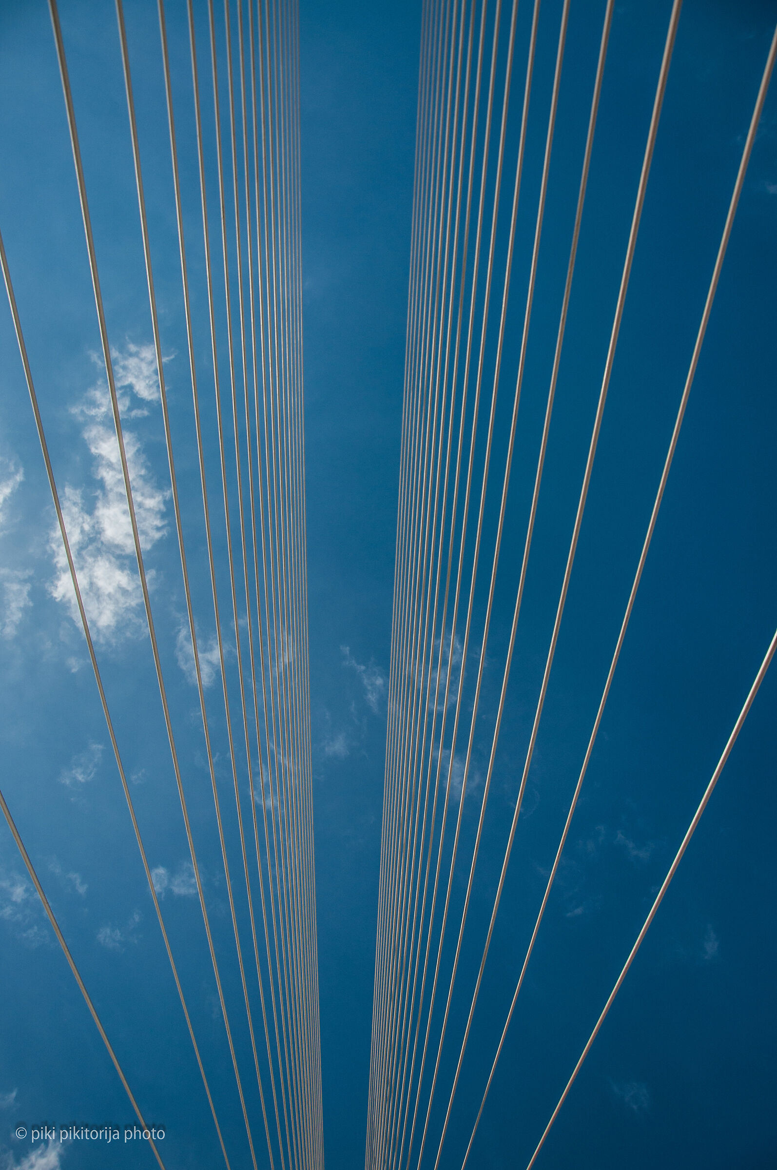 Il ponte di Calatrava. La mia vista...