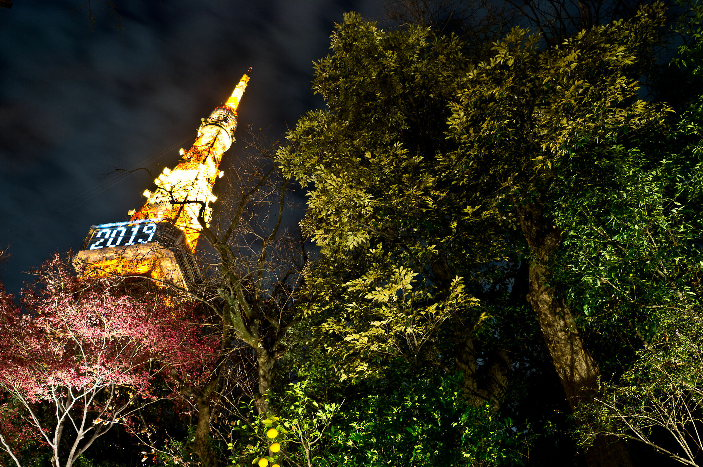 Tojyo Tower by night...