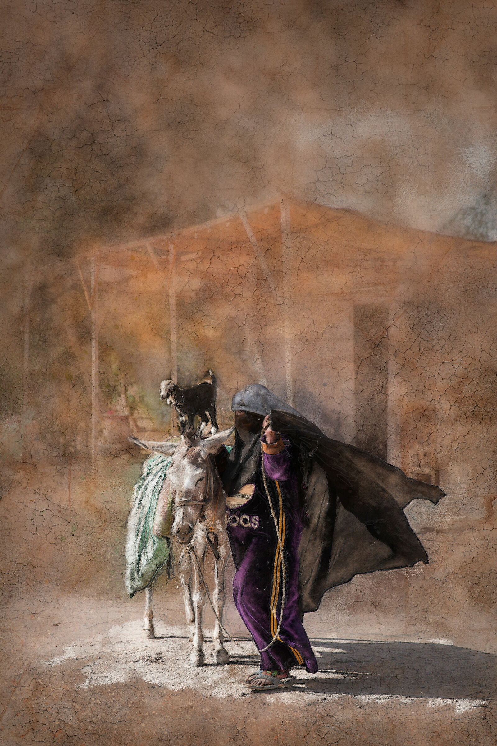 Egypt Photopittura...