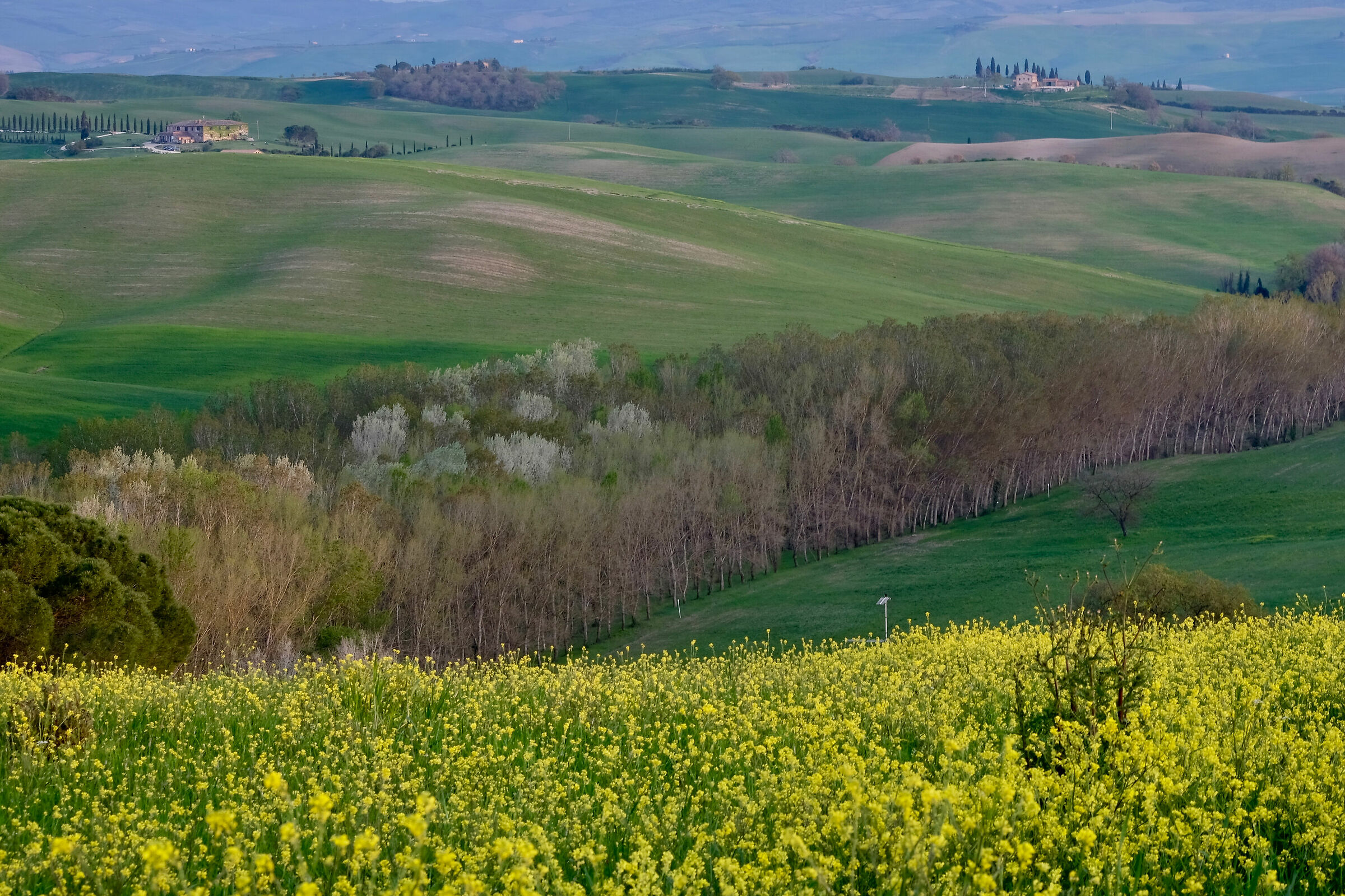 Down and up the Val d'orcia...