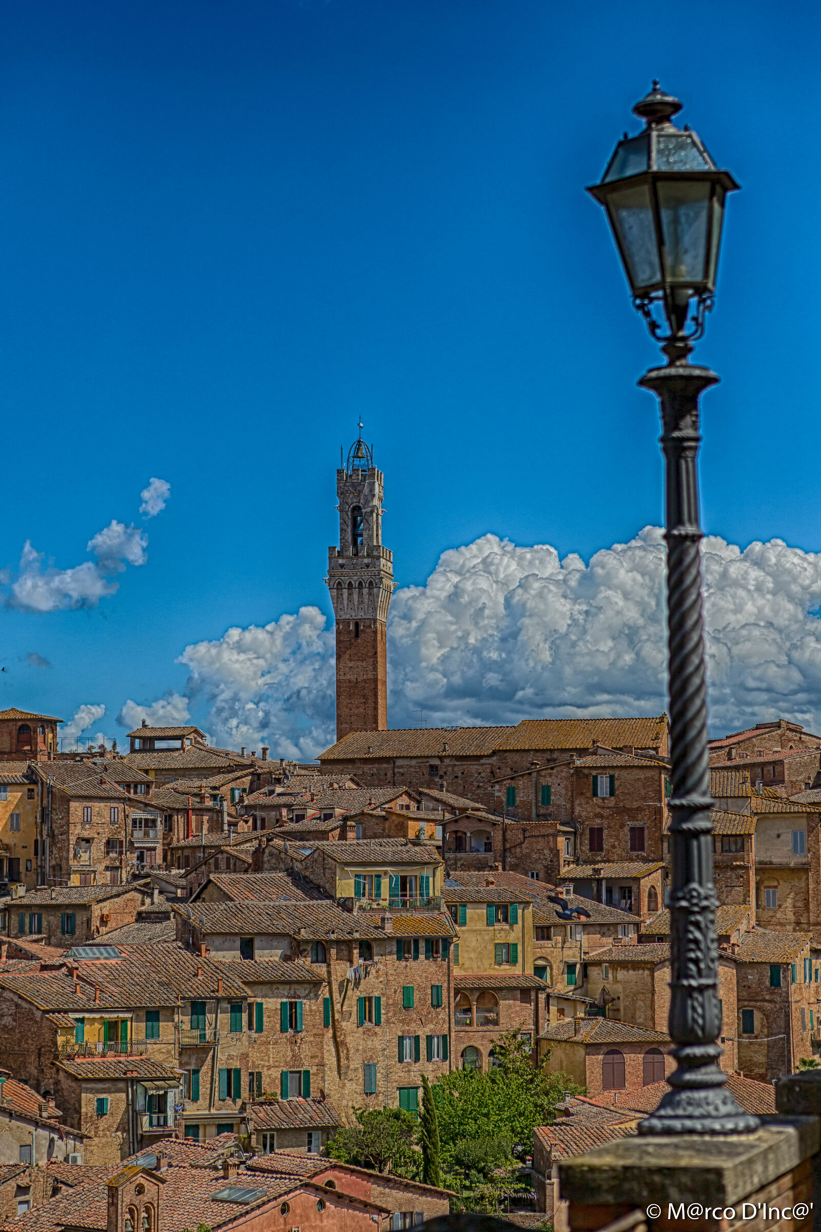 Roofs of Siena ...