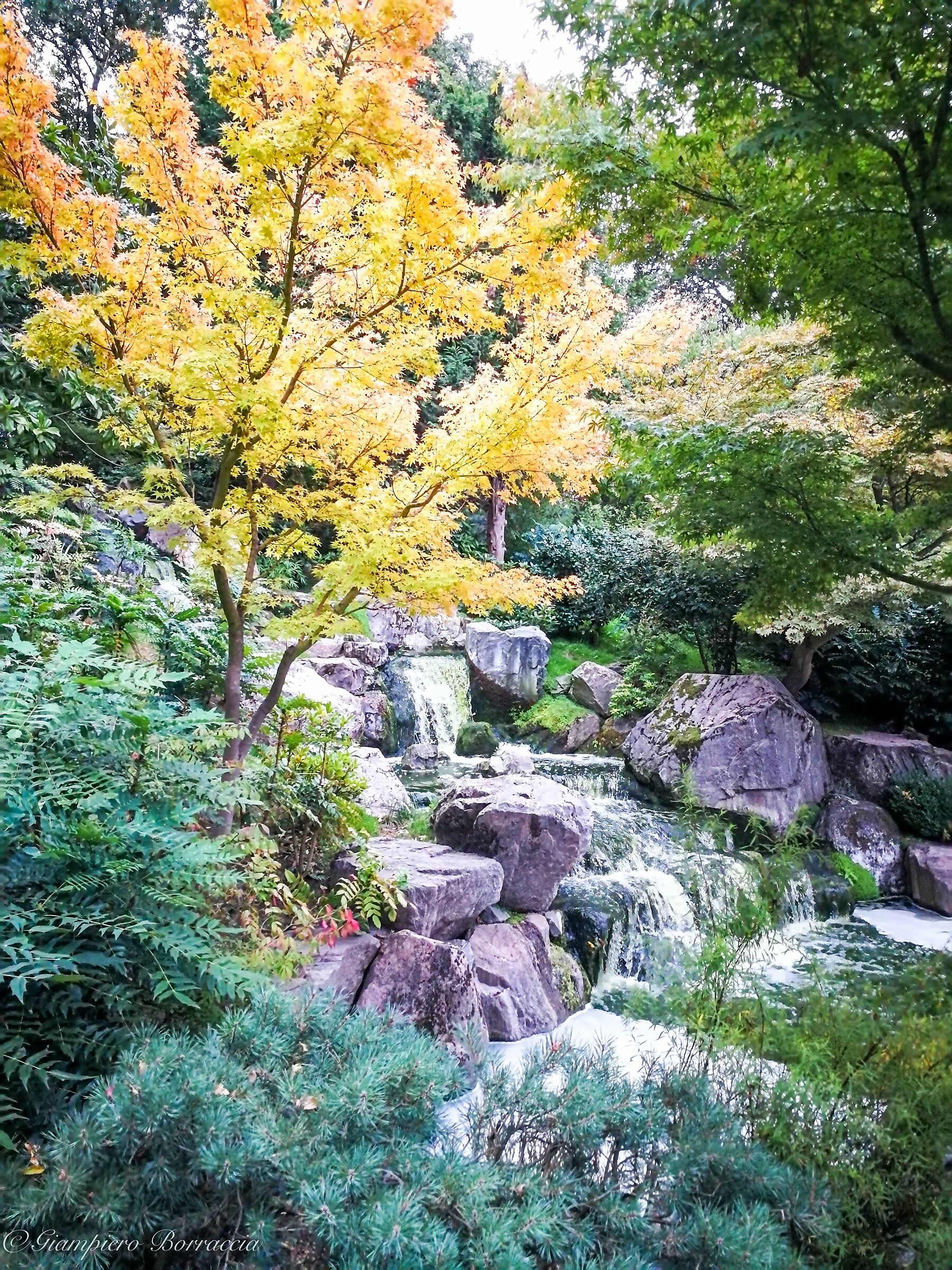Kyoto Garden (Holland Park)...