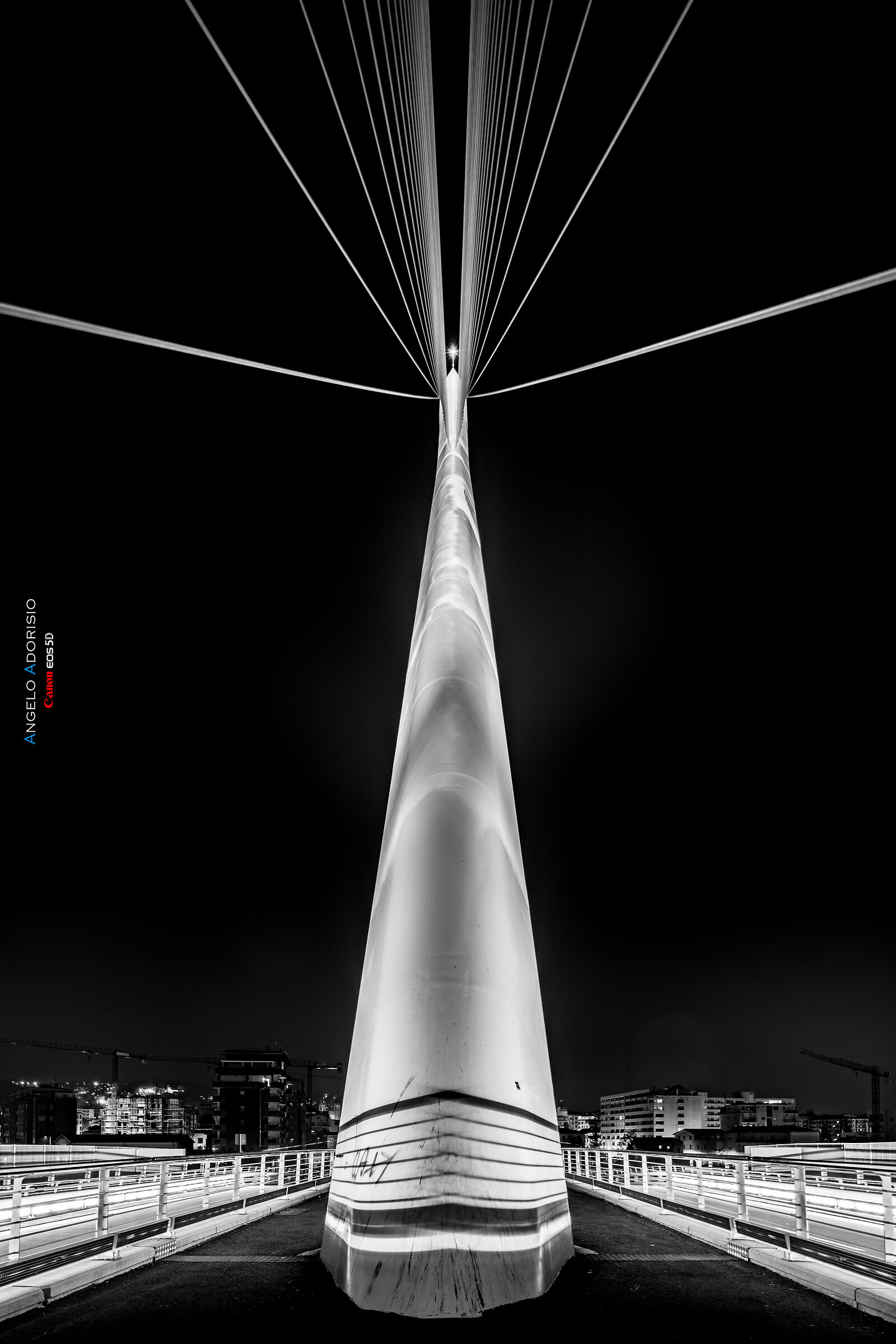 Cosenza-The Bridge of Calatrava 3...
