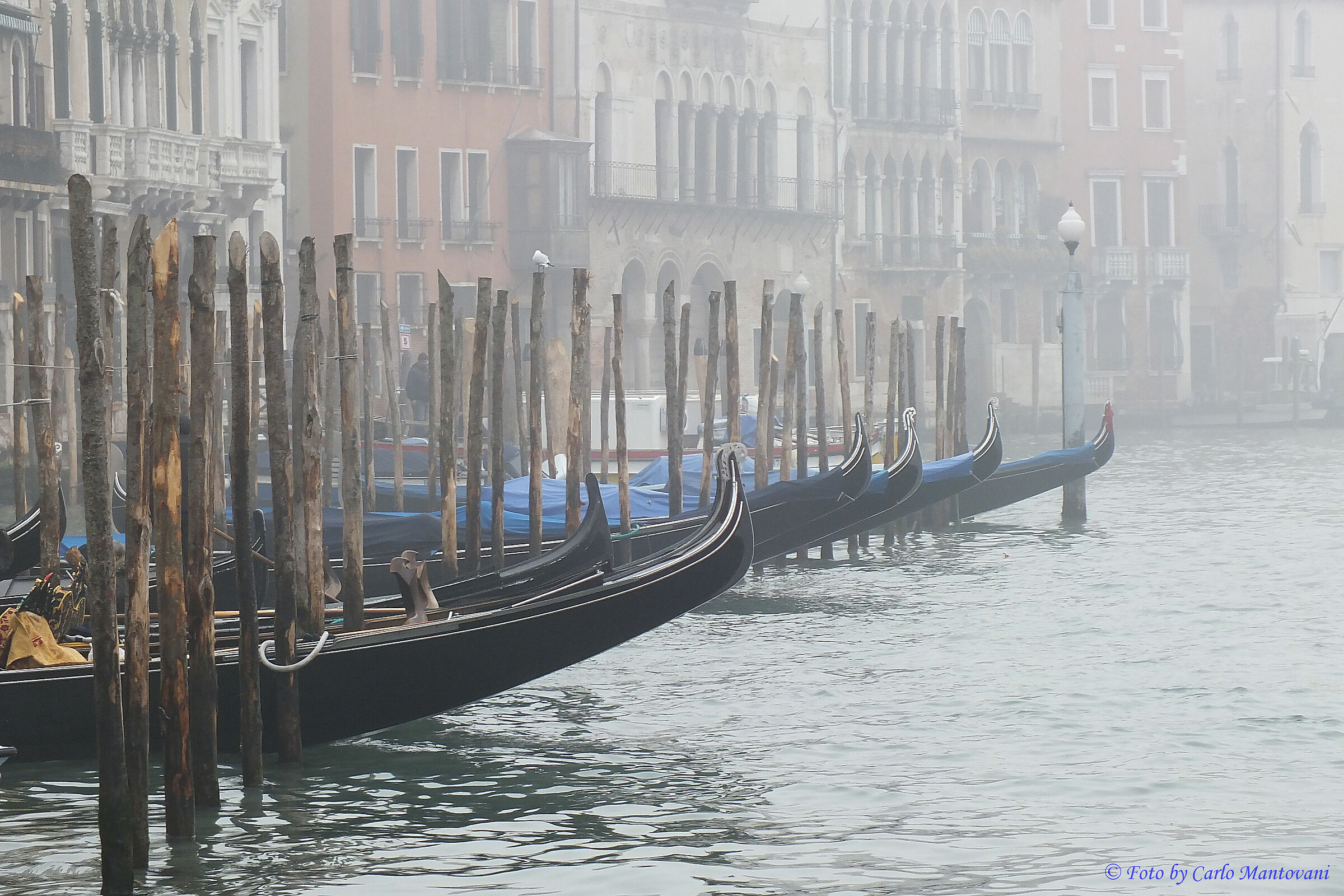 Venezia (0391)...