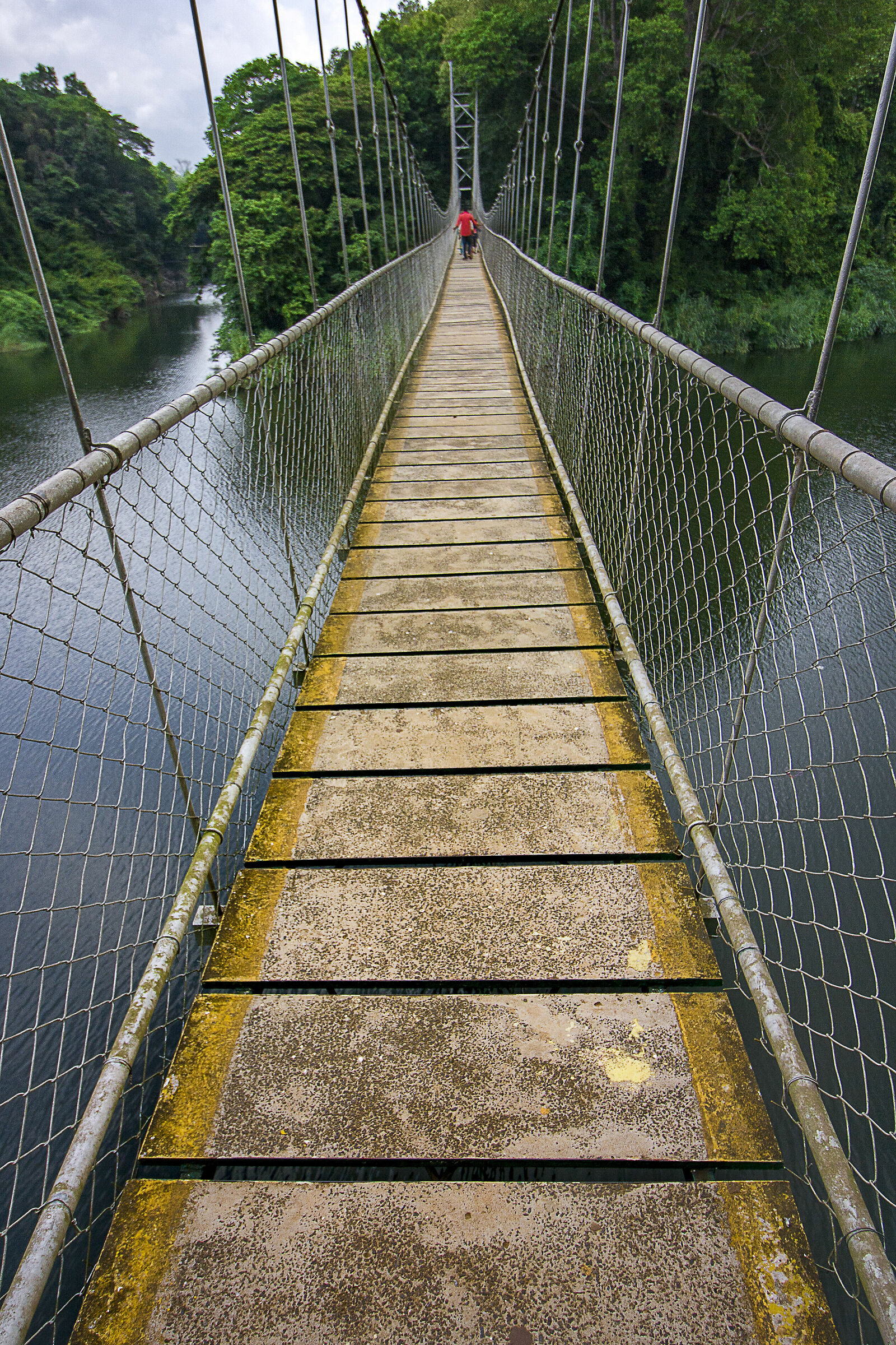 The hanging bridge...