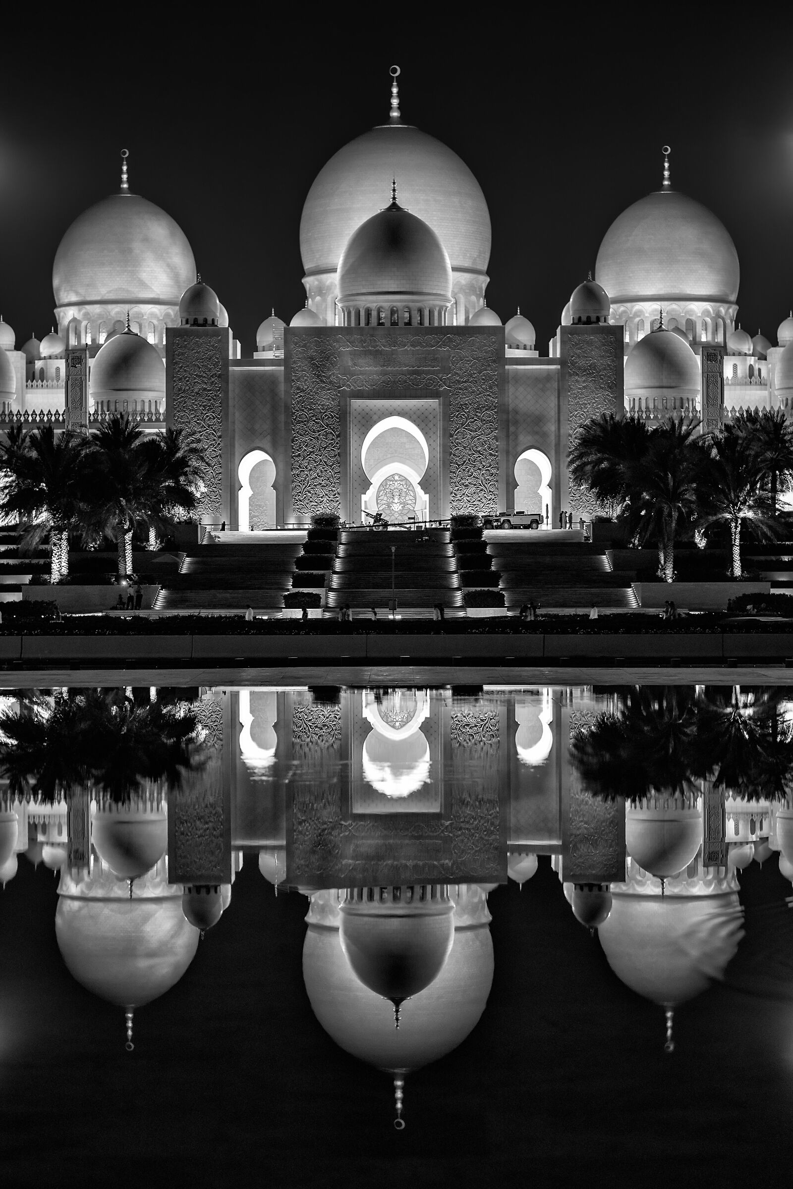 Zayed Reflections...
