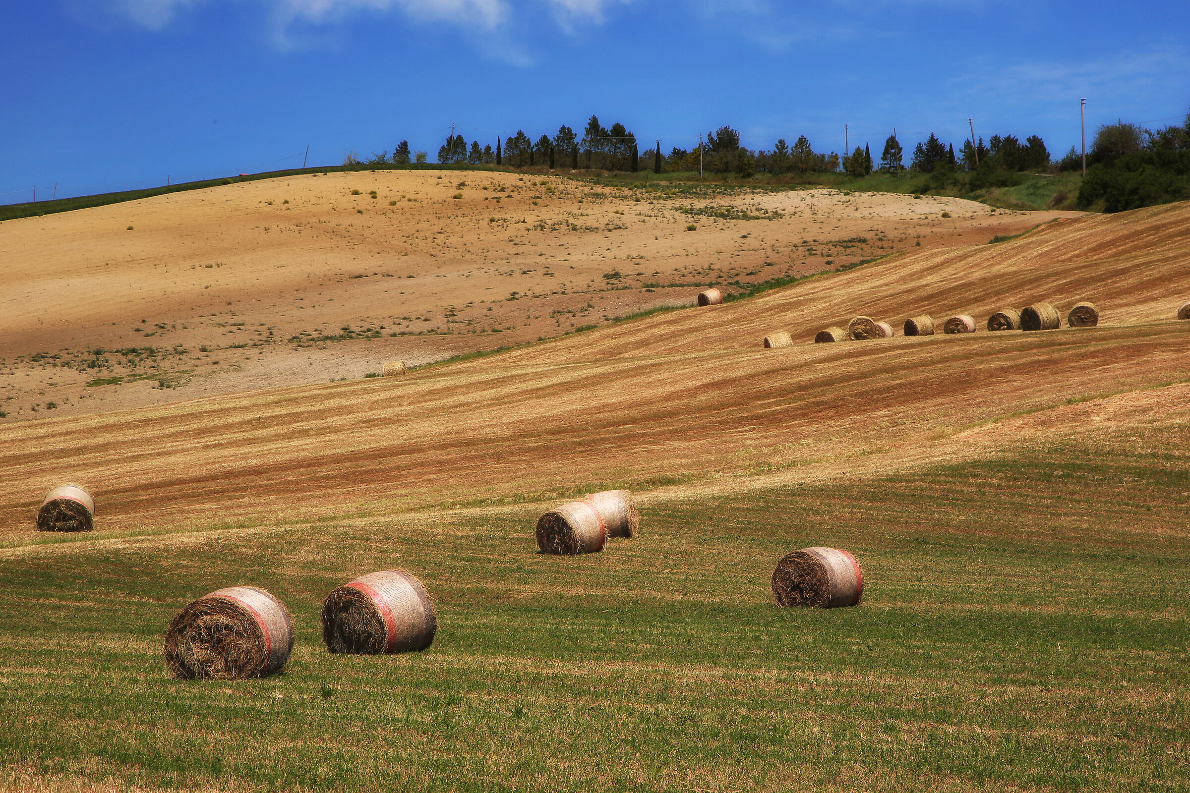 Tuscan countryside...
