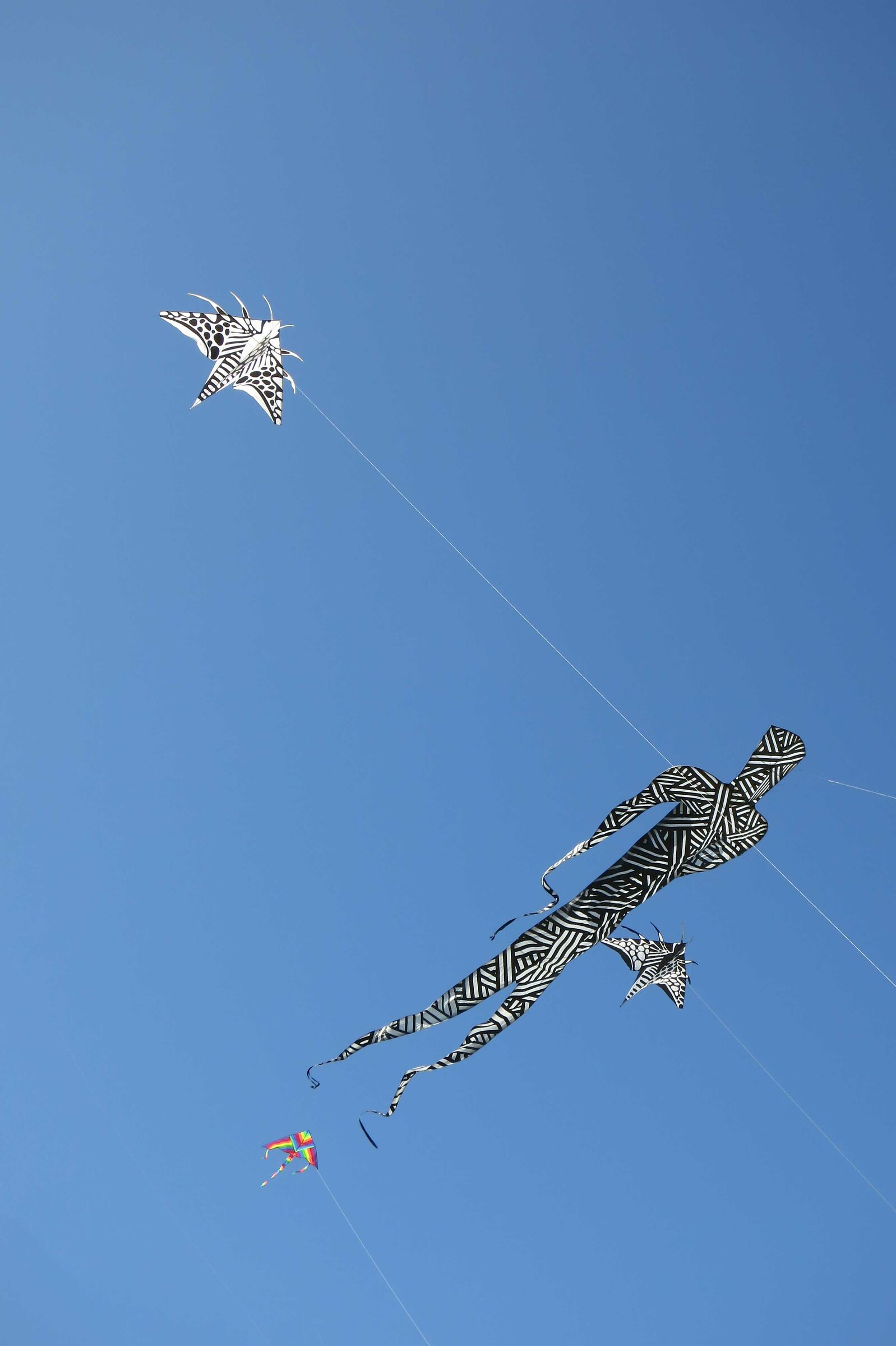 Kite-flying in Cervia...