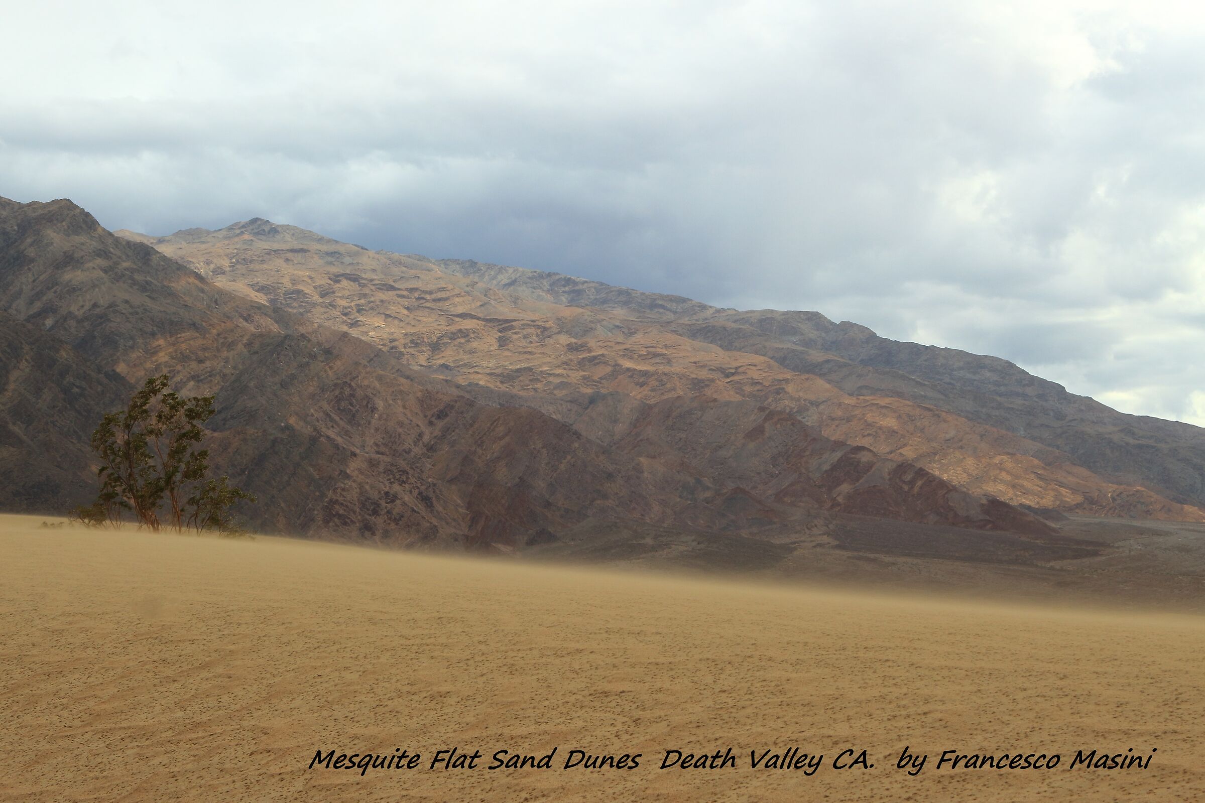 Death Valley dunes...