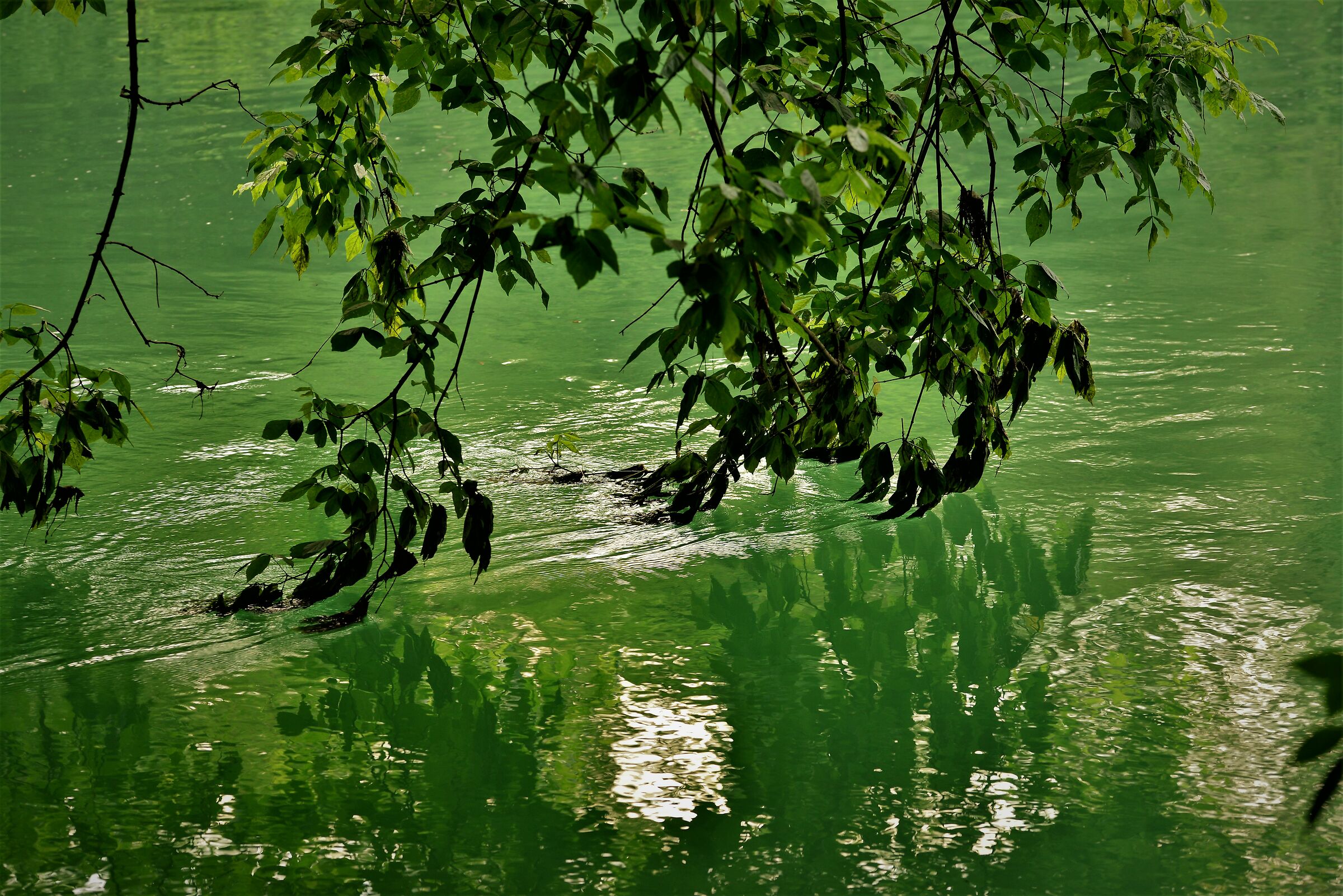 Green water...