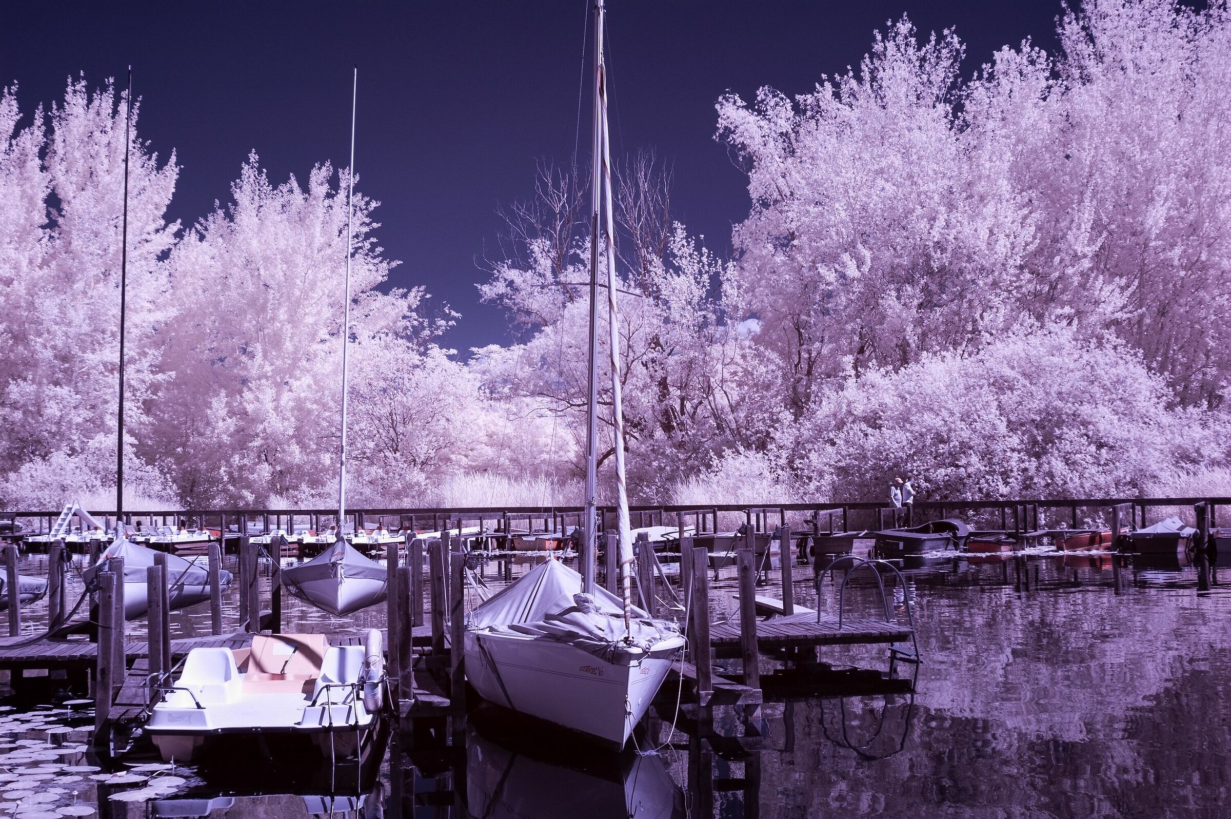 Landscape at Lake Kaltern with infrared light 2...