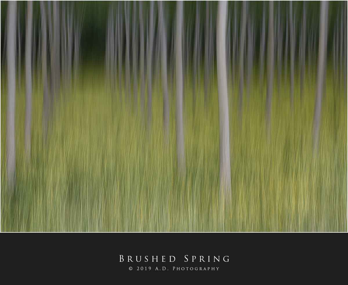 Brushed Spring, Inve....