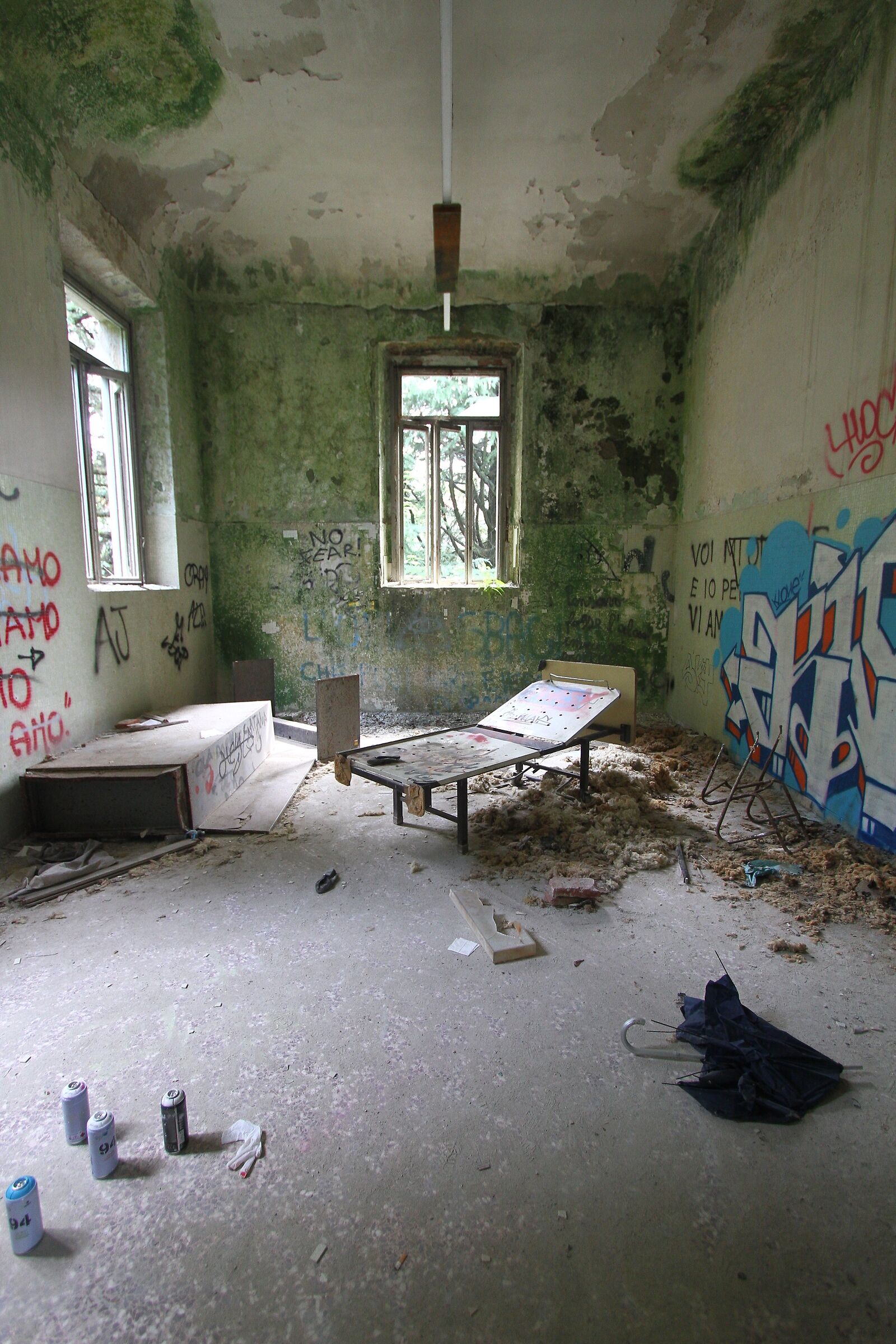 Abandoned Asylum ...