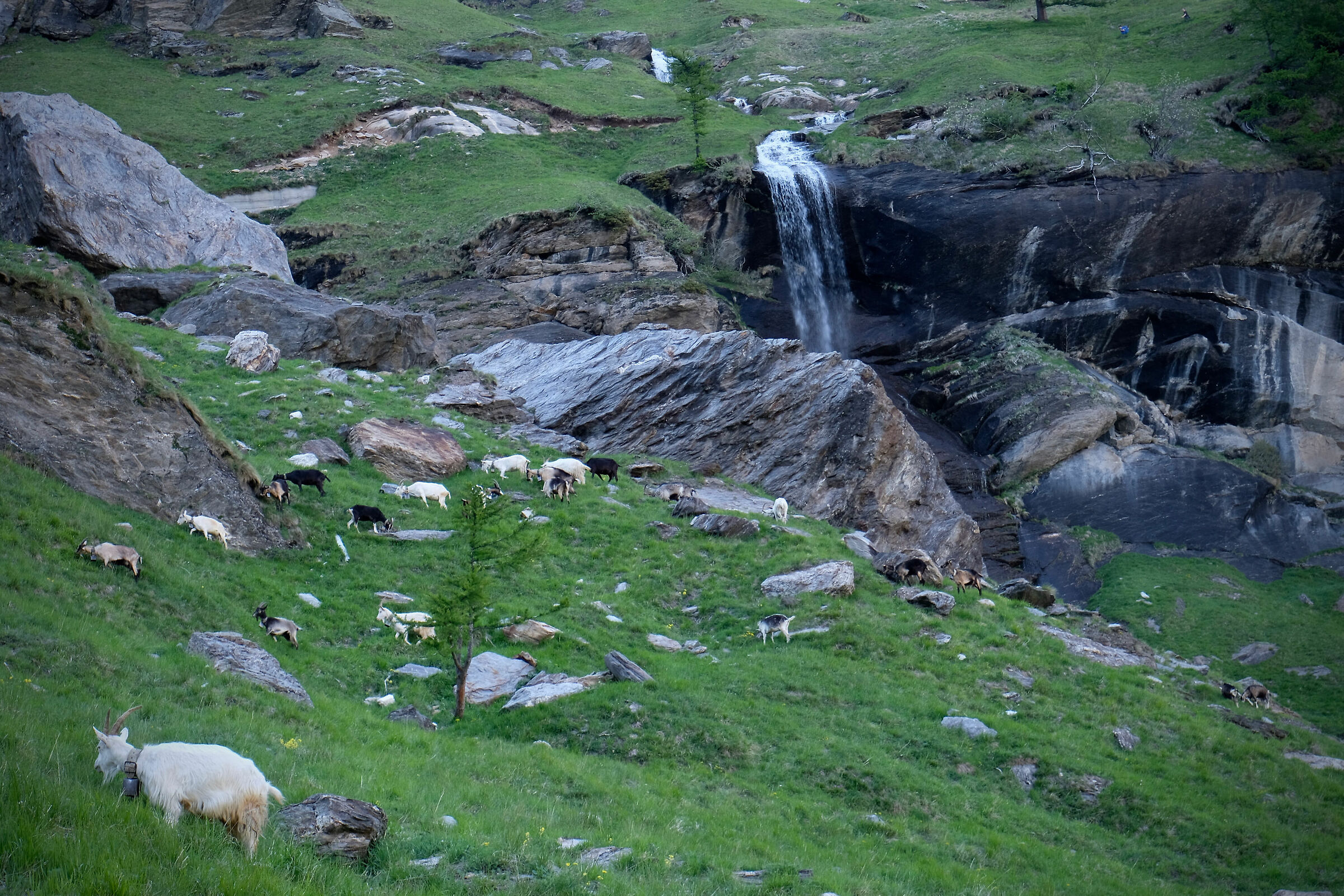 Between goat valleys and waterfalls...