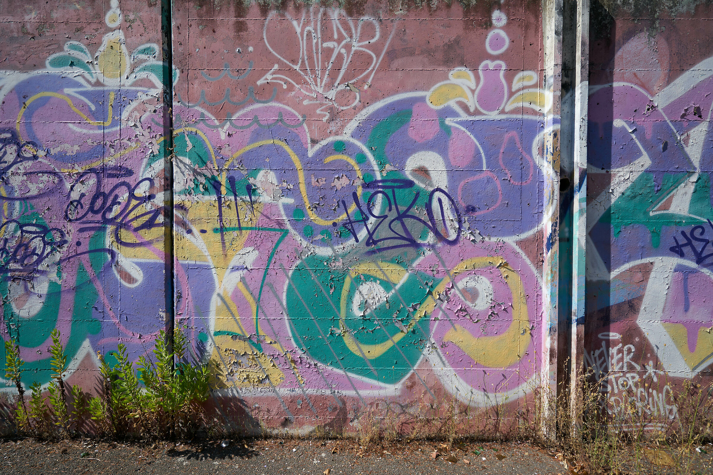 murales bis f4...