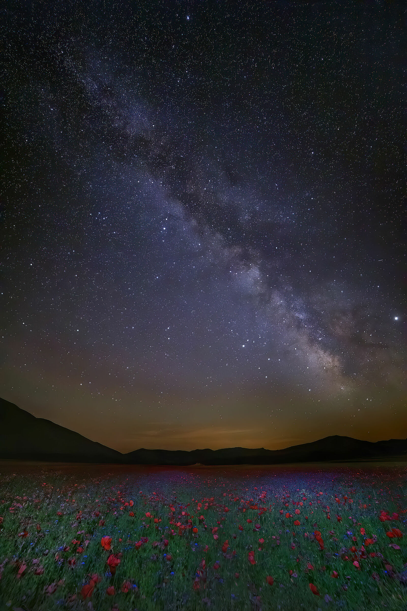 Milky Way and flowering...