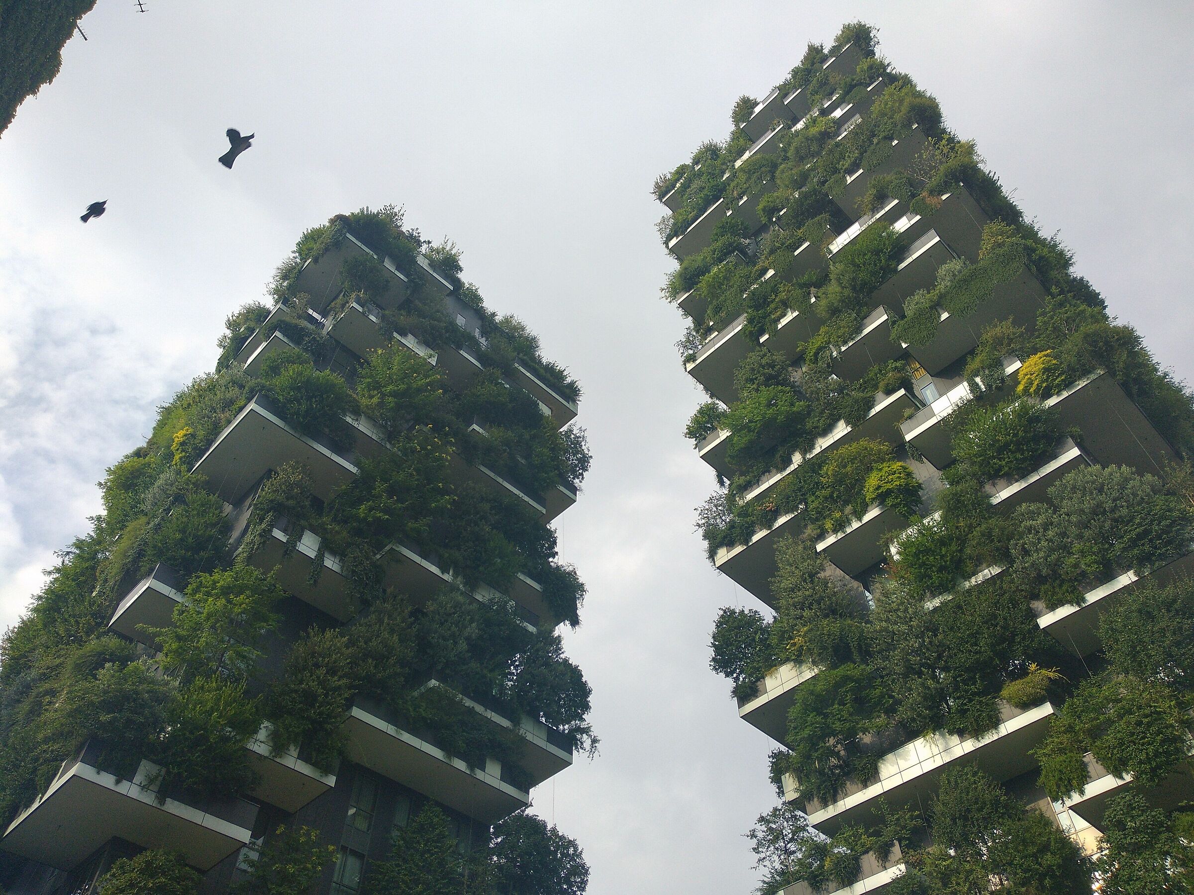 The vertical garden of Milan...