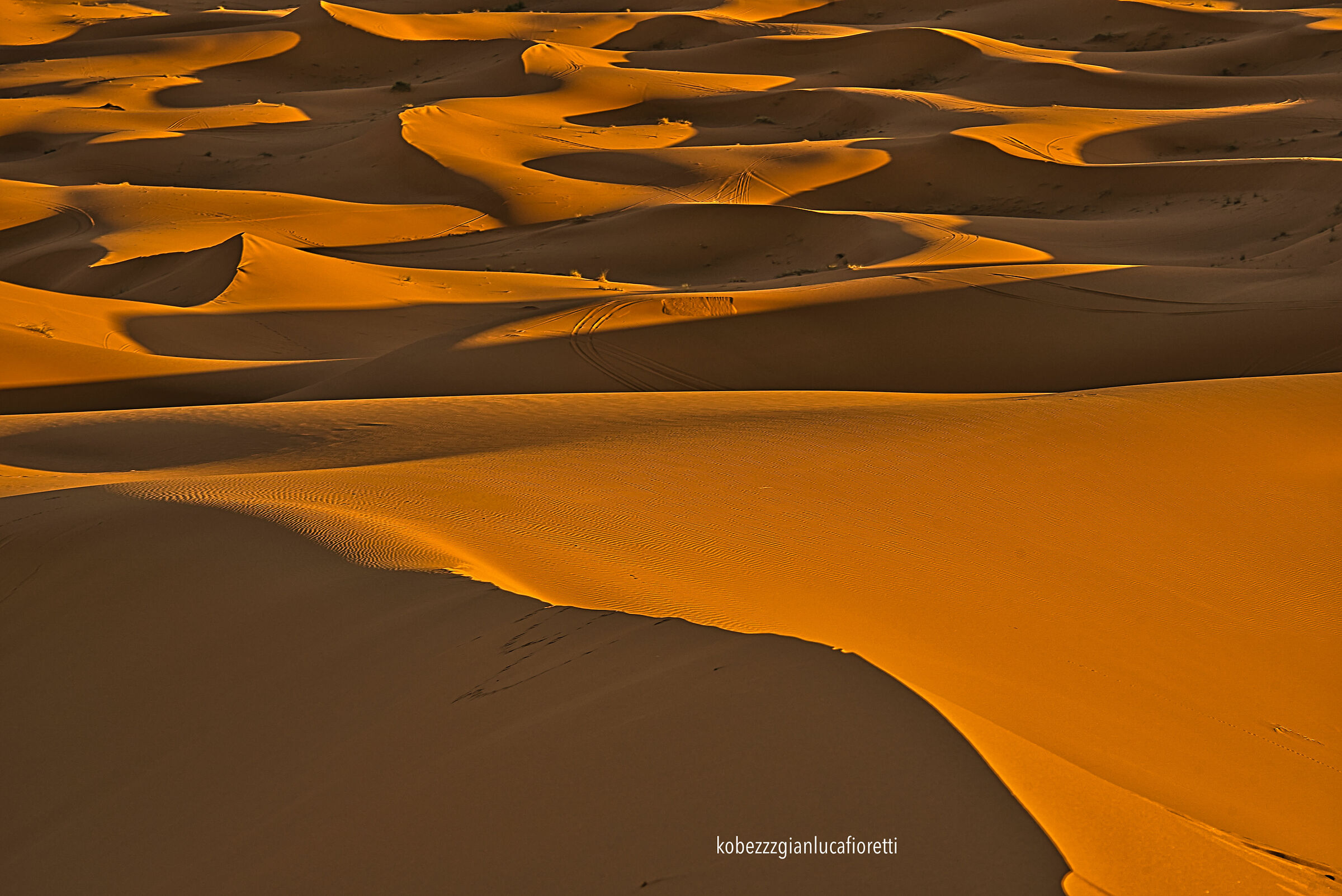 The dunes of the Sahara...